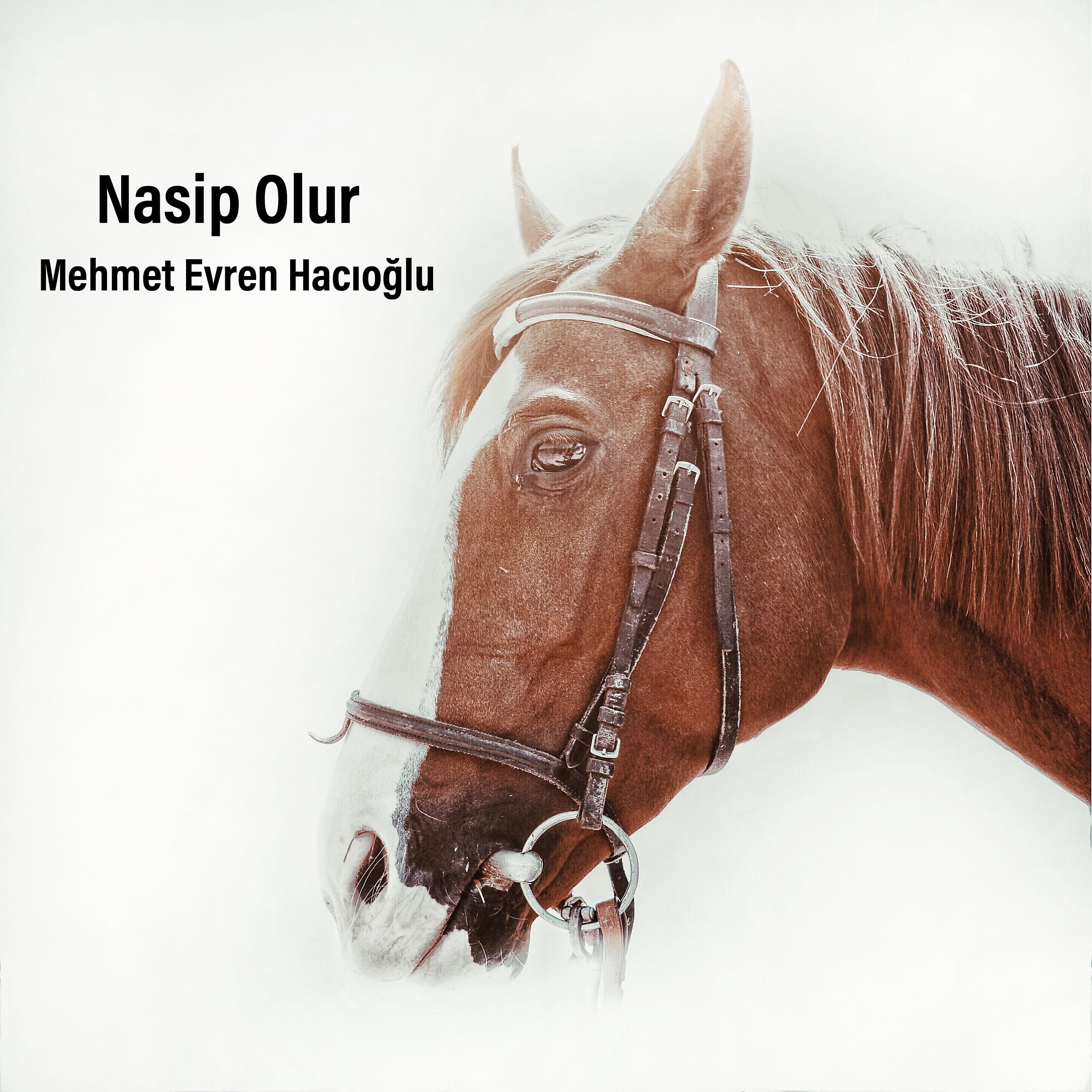Постер альбома Nasip Olur Amasyaya Varırsan