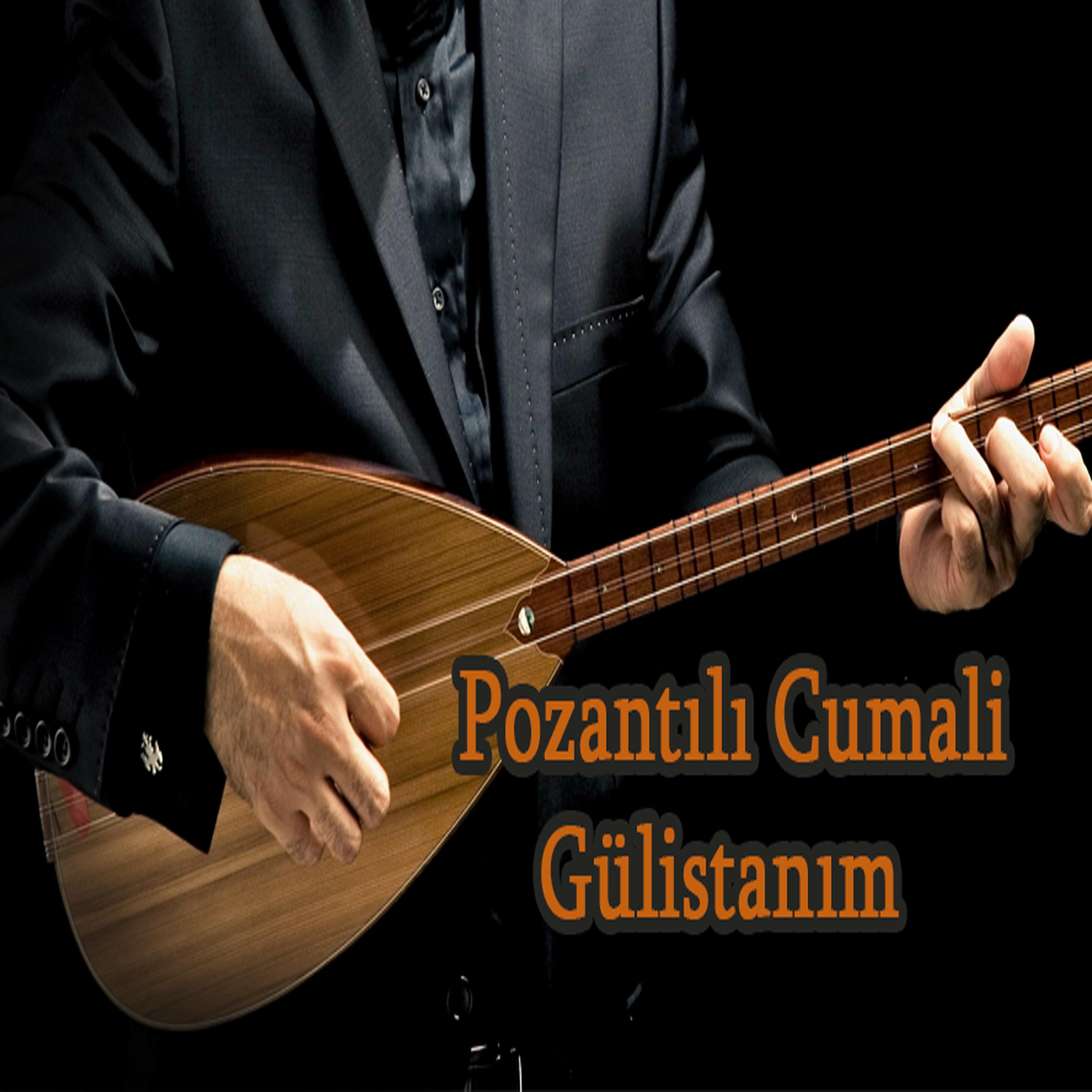 Постер альбома Gülistanım