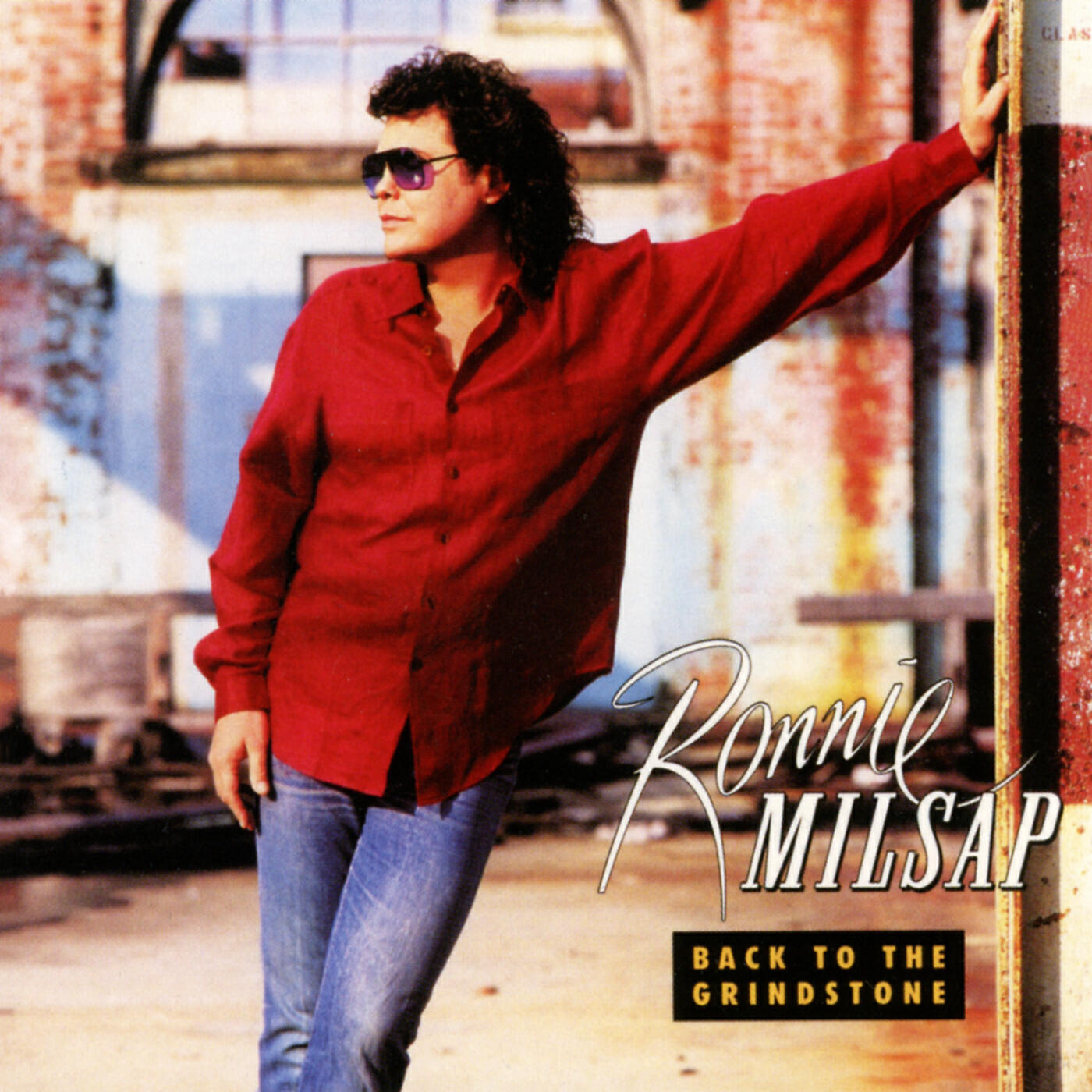 Ronnie Milsap - Back To The Grindstone