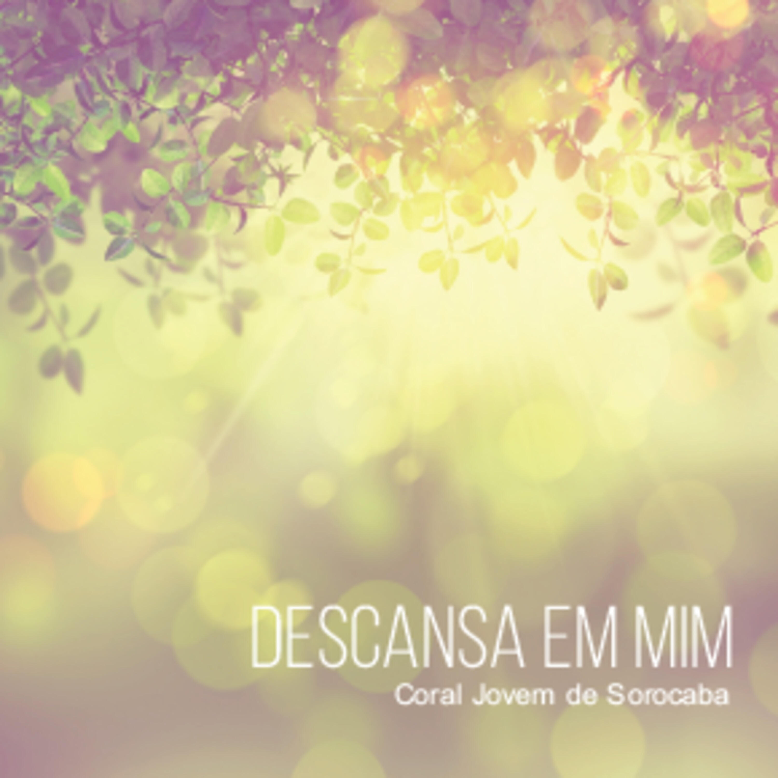 Coral Jovem de Sorocaba - Um Recado para Jesus (Play Back)
