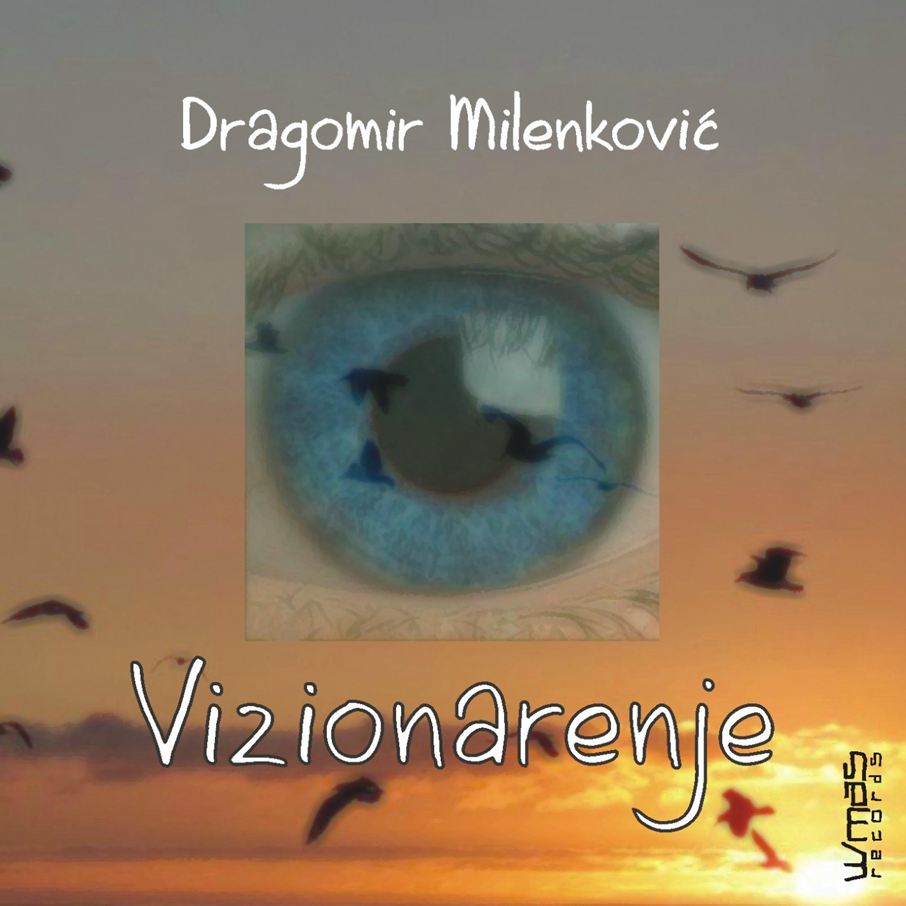 Постер альбома Vizionarenje