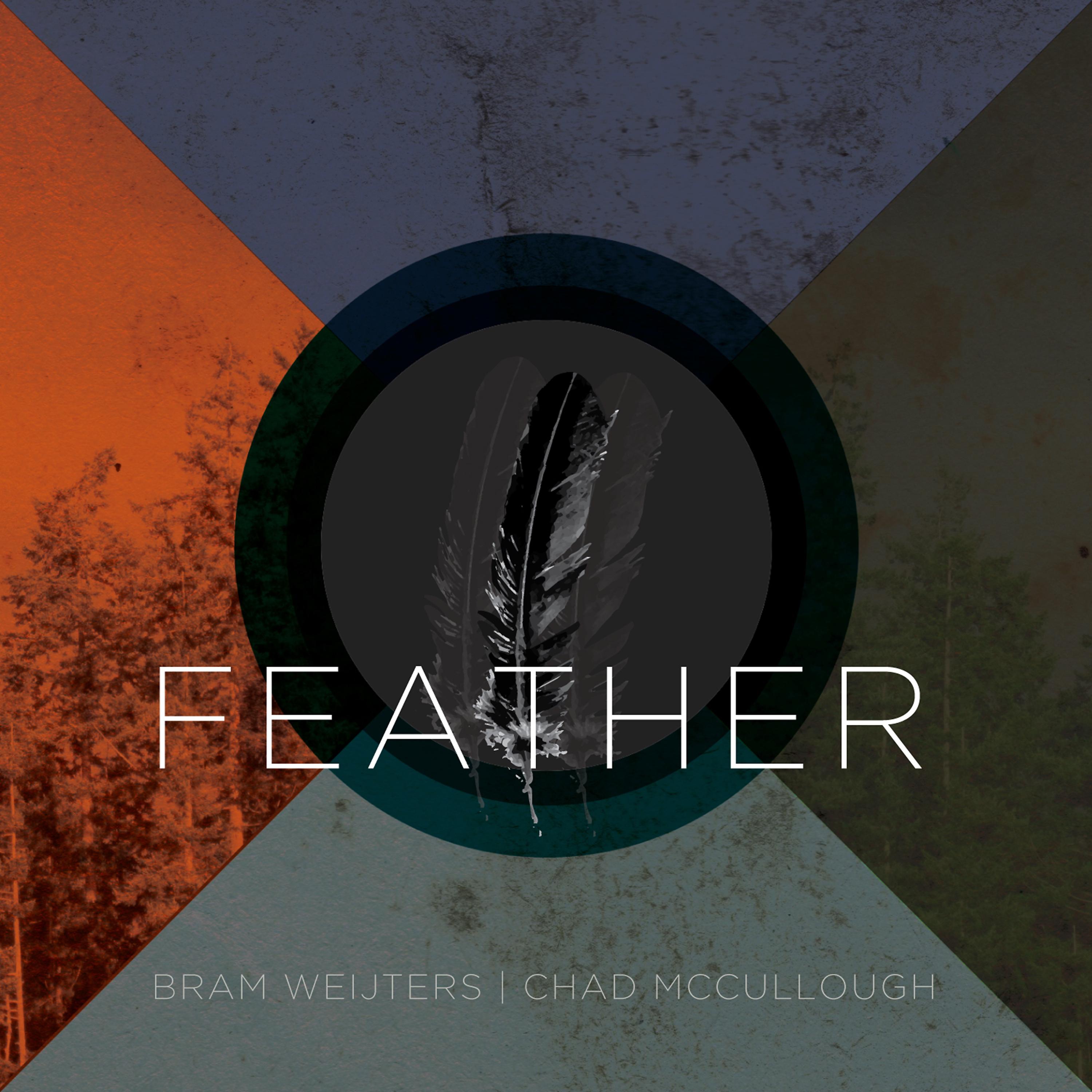 Постер альбома Feather