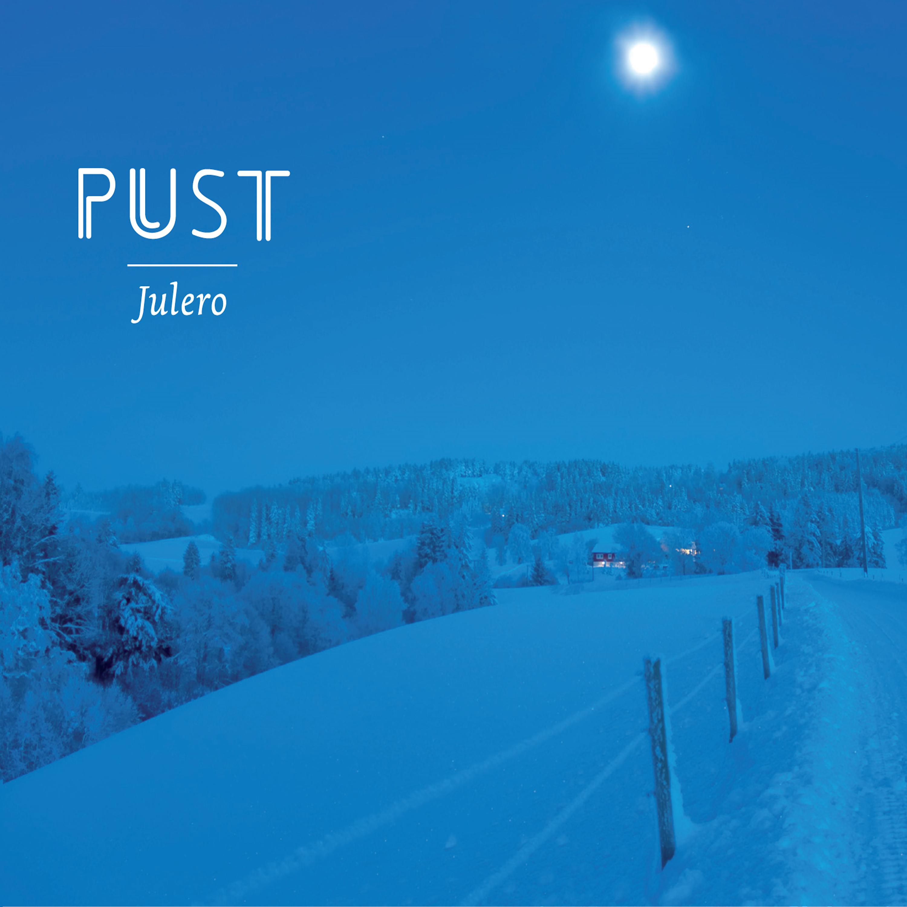 Постер альбома Julero
