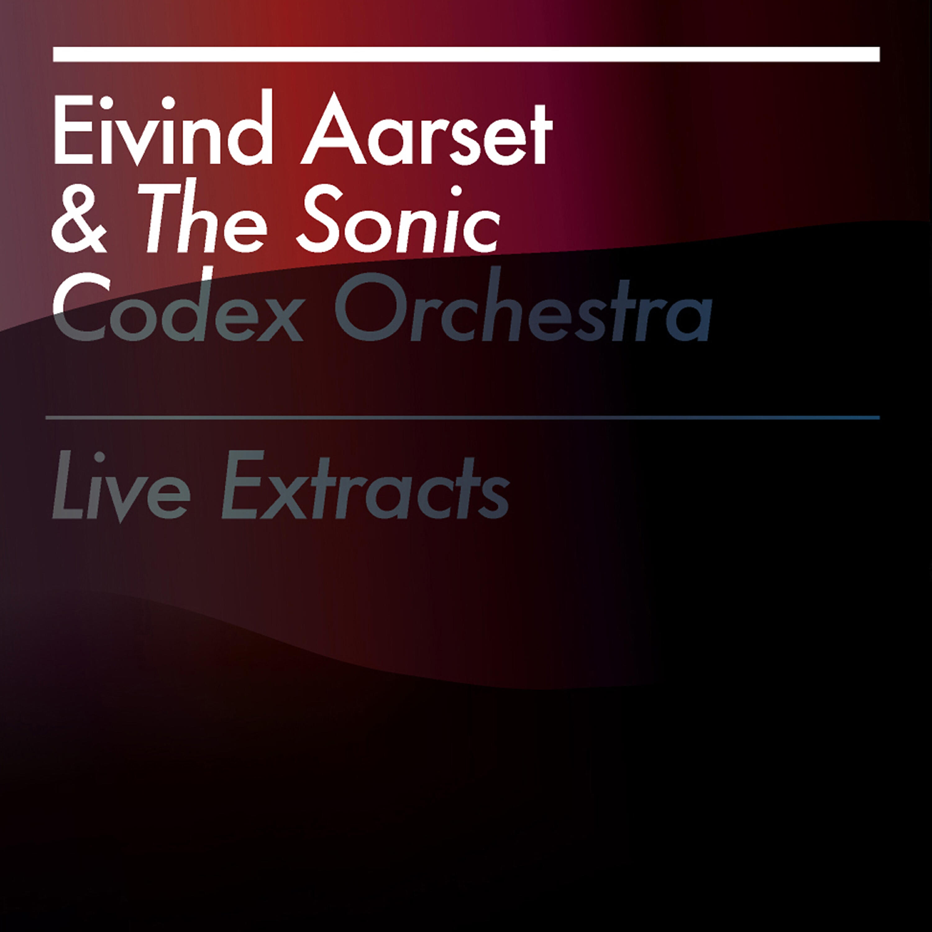 Eivind Aarset - Electromoers