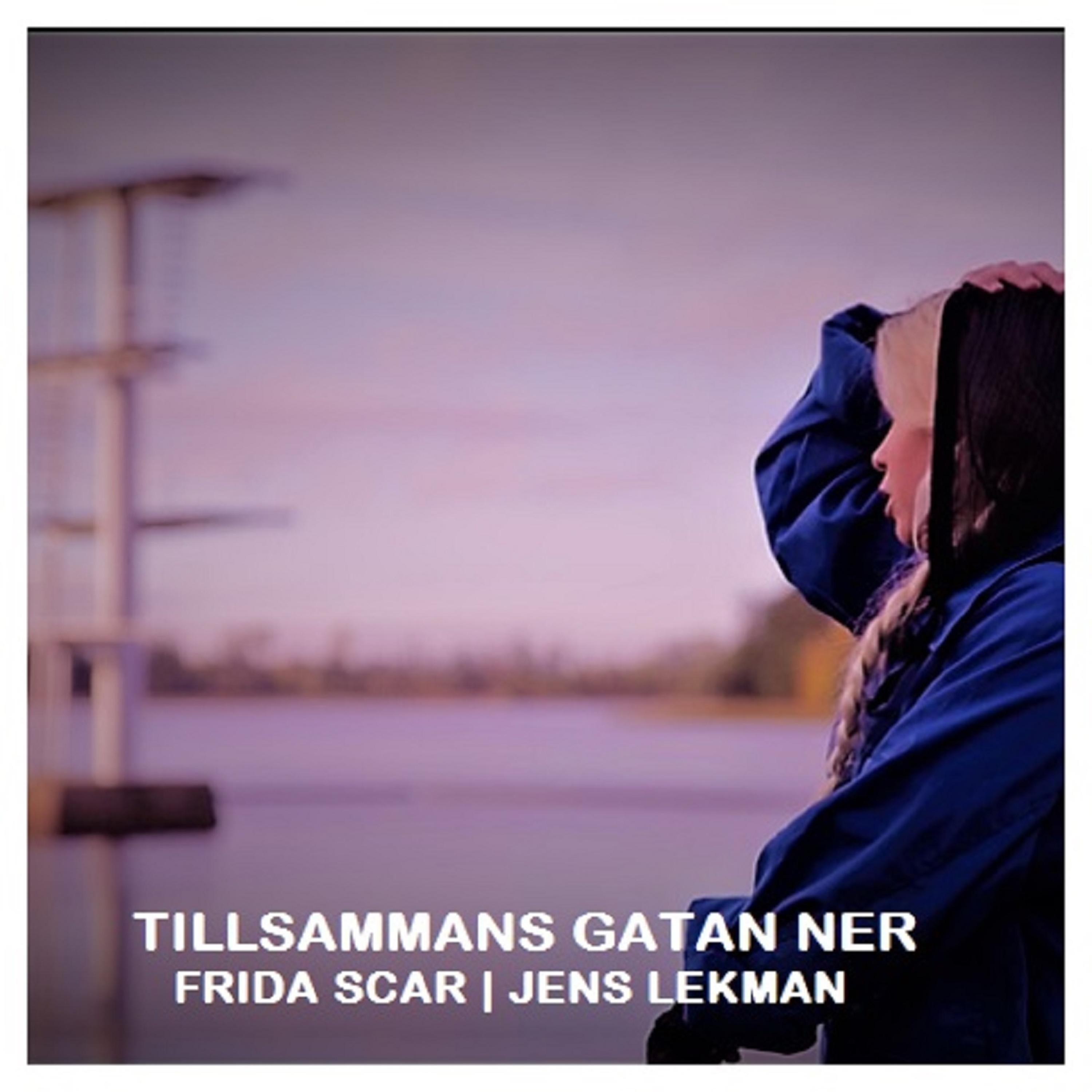 Постер альбома Tillsammans Gatan Ner