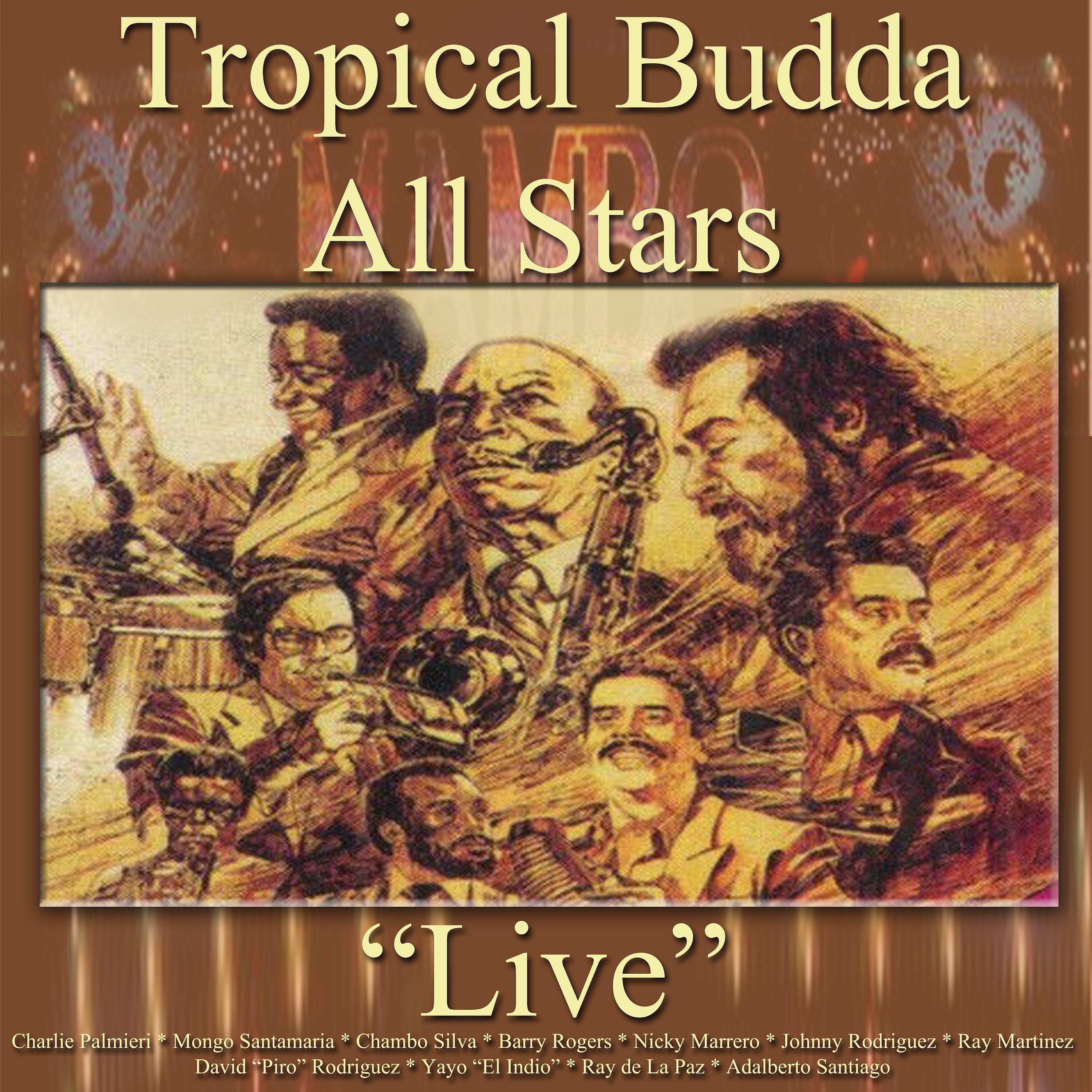 Постер альбома Tropical Budda All Stars Live