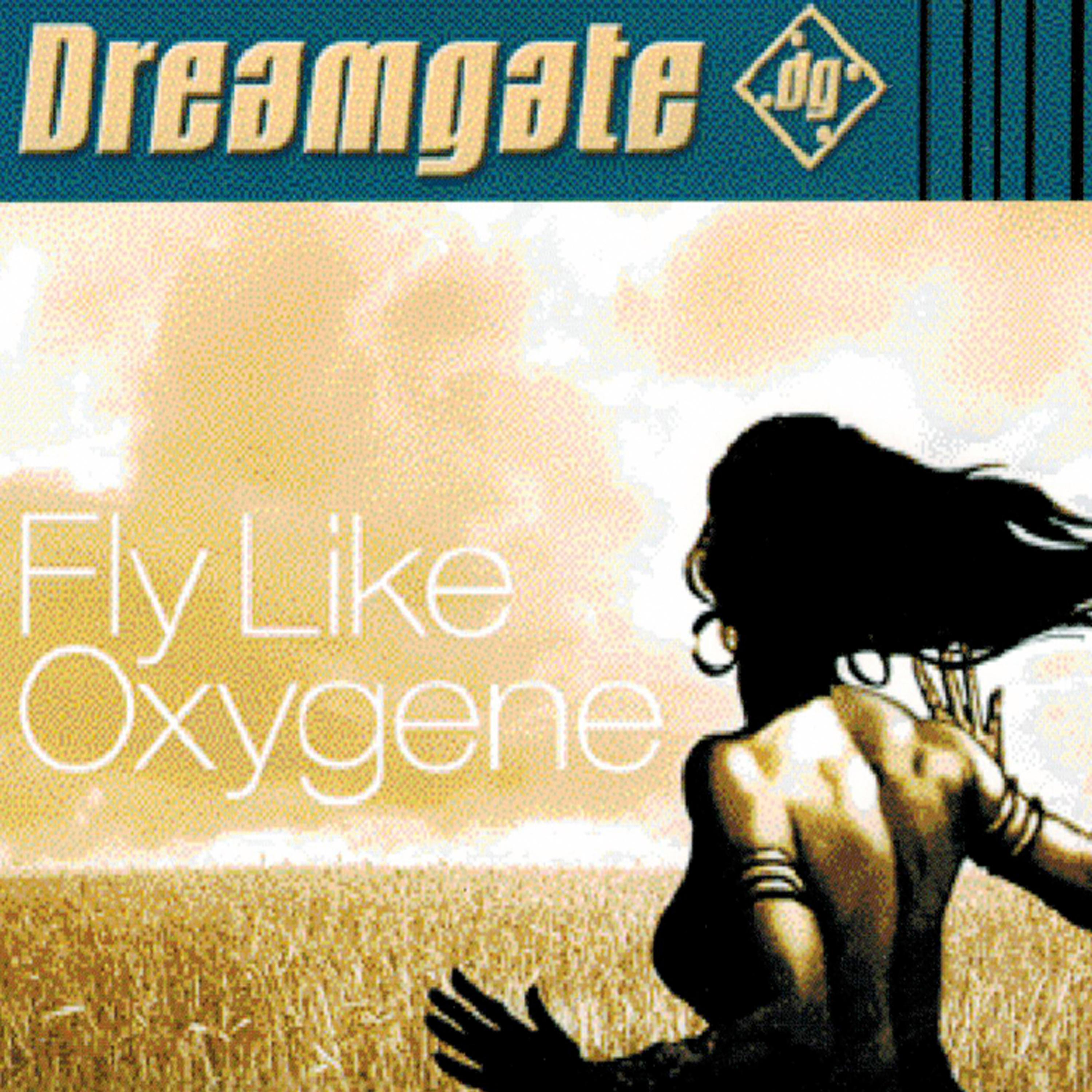 Постер альбома Fly Like Oxygene