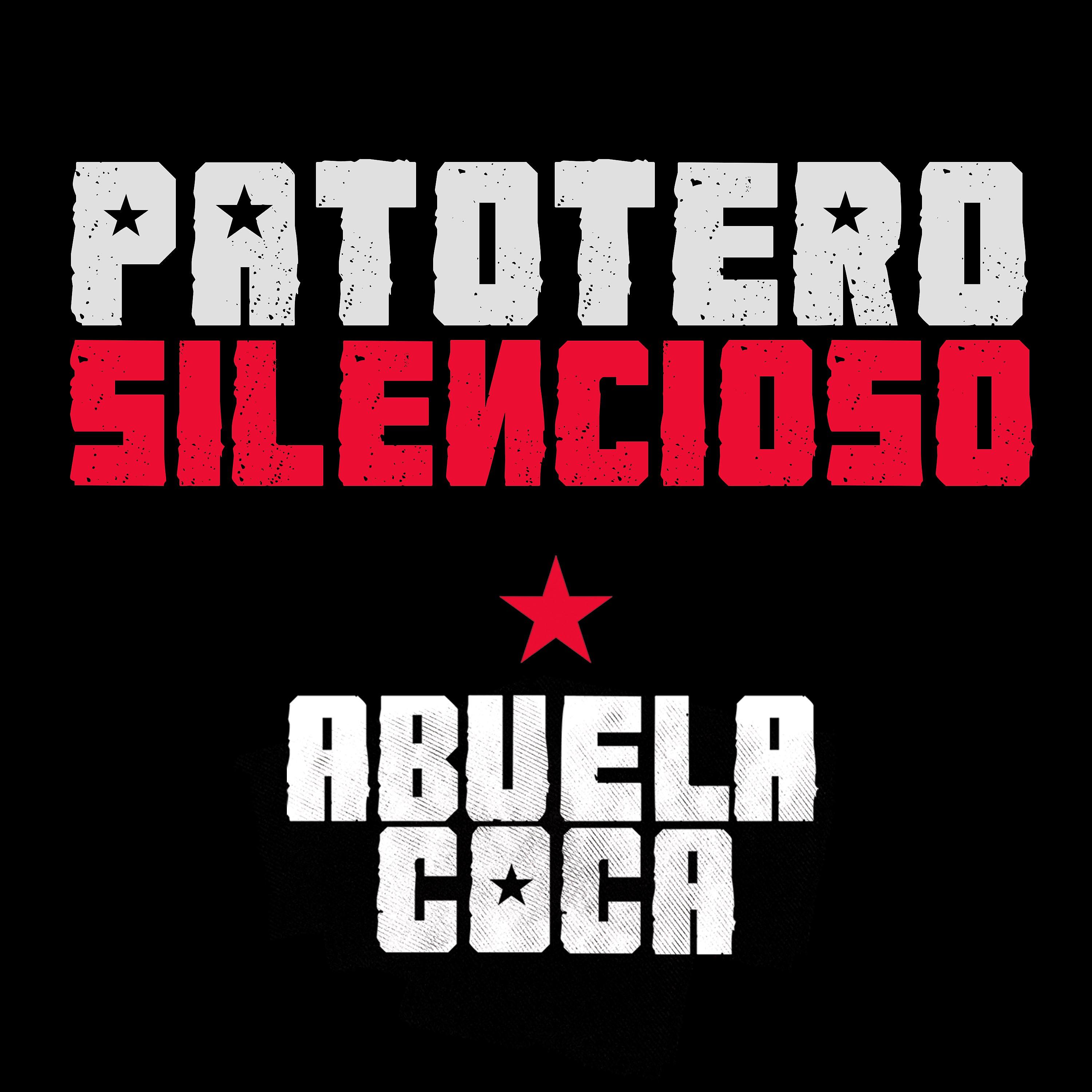 Постер альбома Patotero Silencioso (En Vivo)