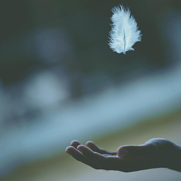 Anjuna Pachha - Going Through Life
