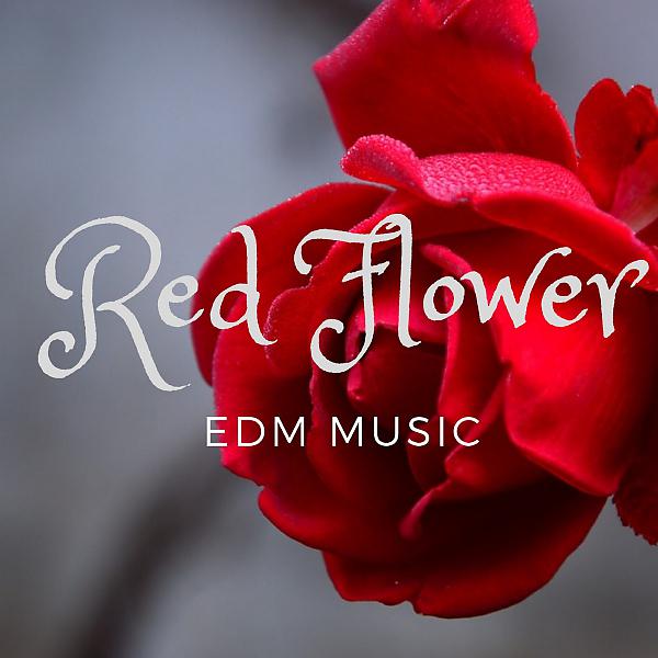 Постер альбома Red Flower Edm Music