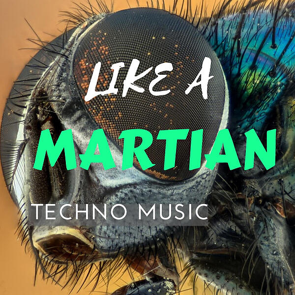 DIGILIO EDM - Rayan