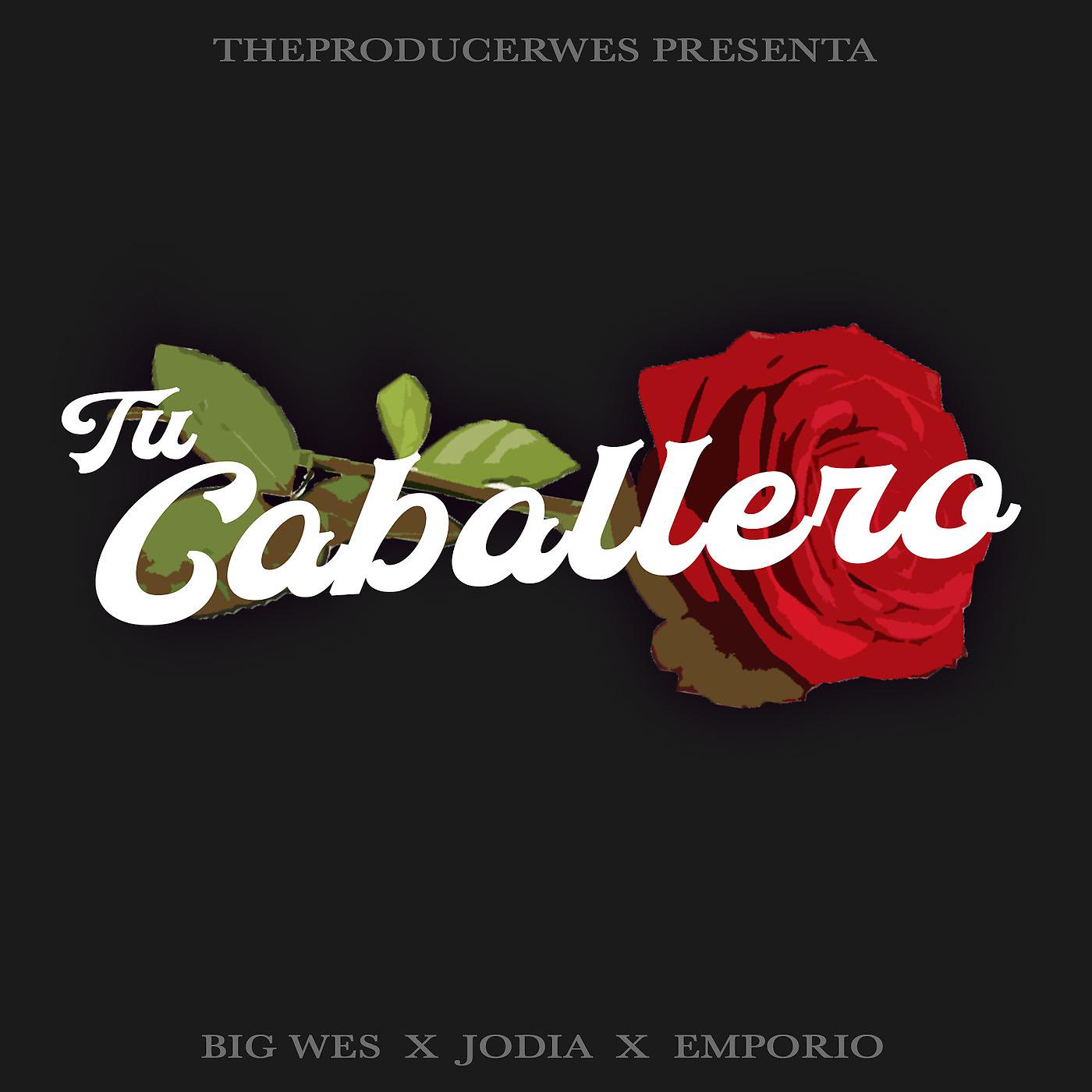 Постер альбома Tu Caballero