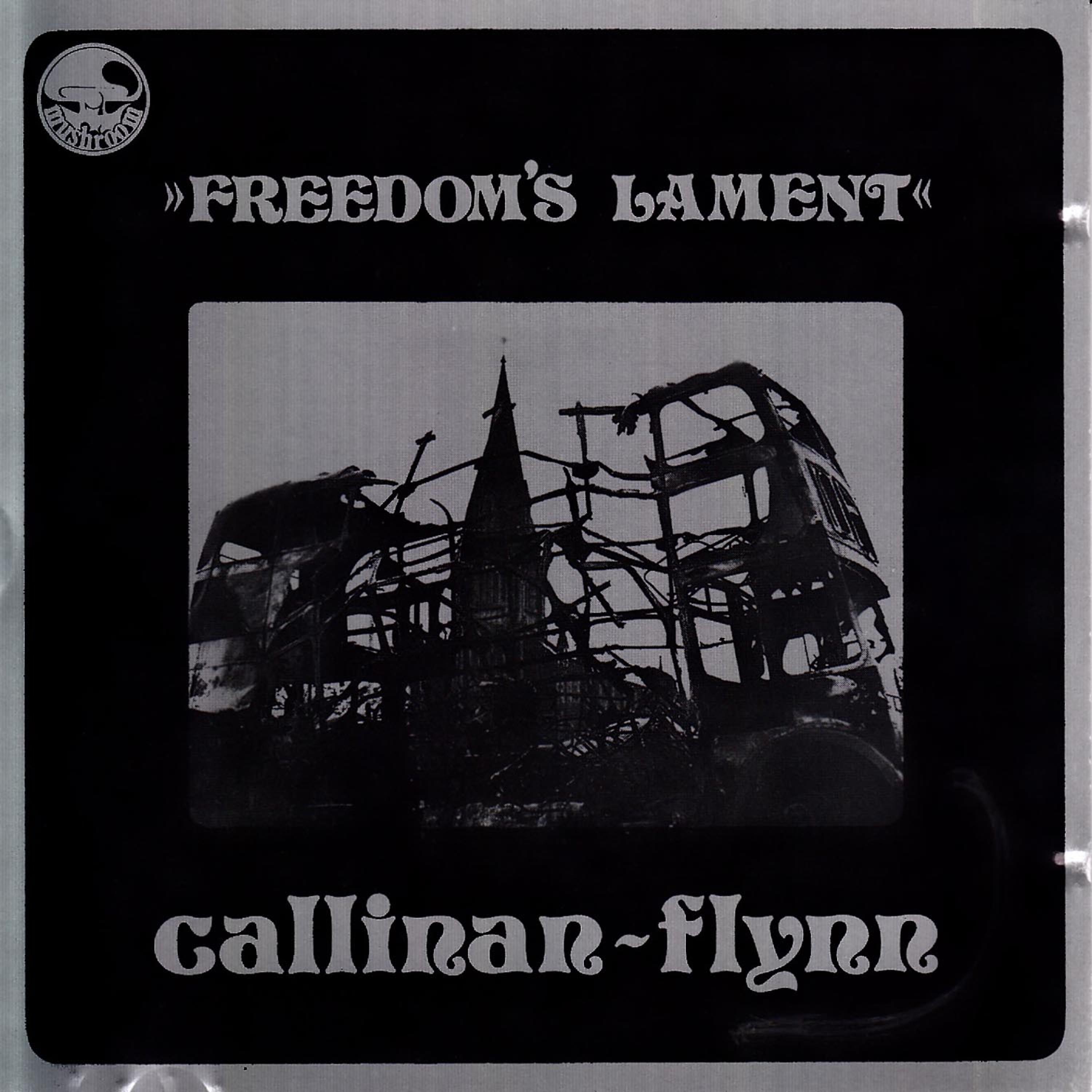 Постер альбома Freedom's Lament