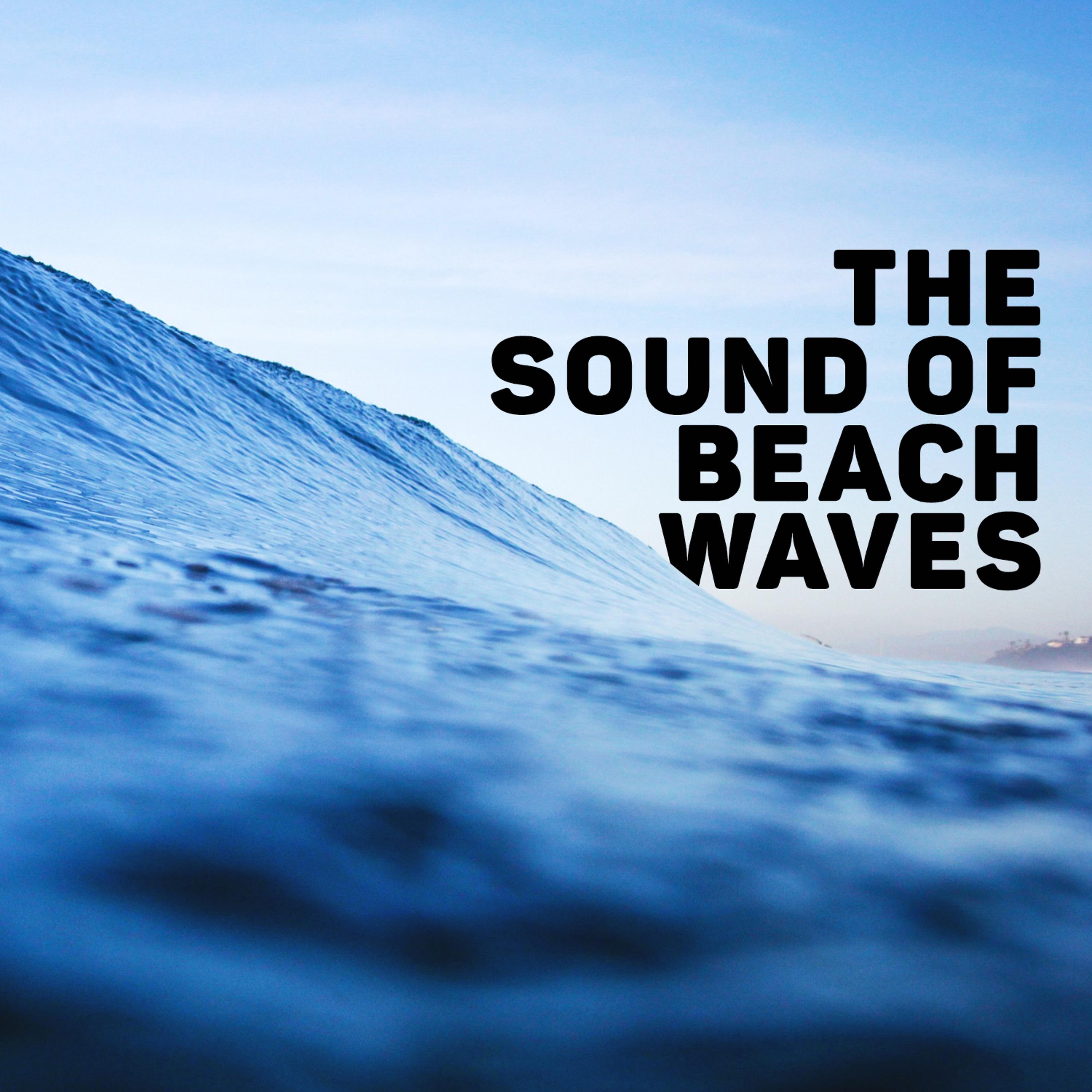 Beach Waves Specialists - Coastal Tide