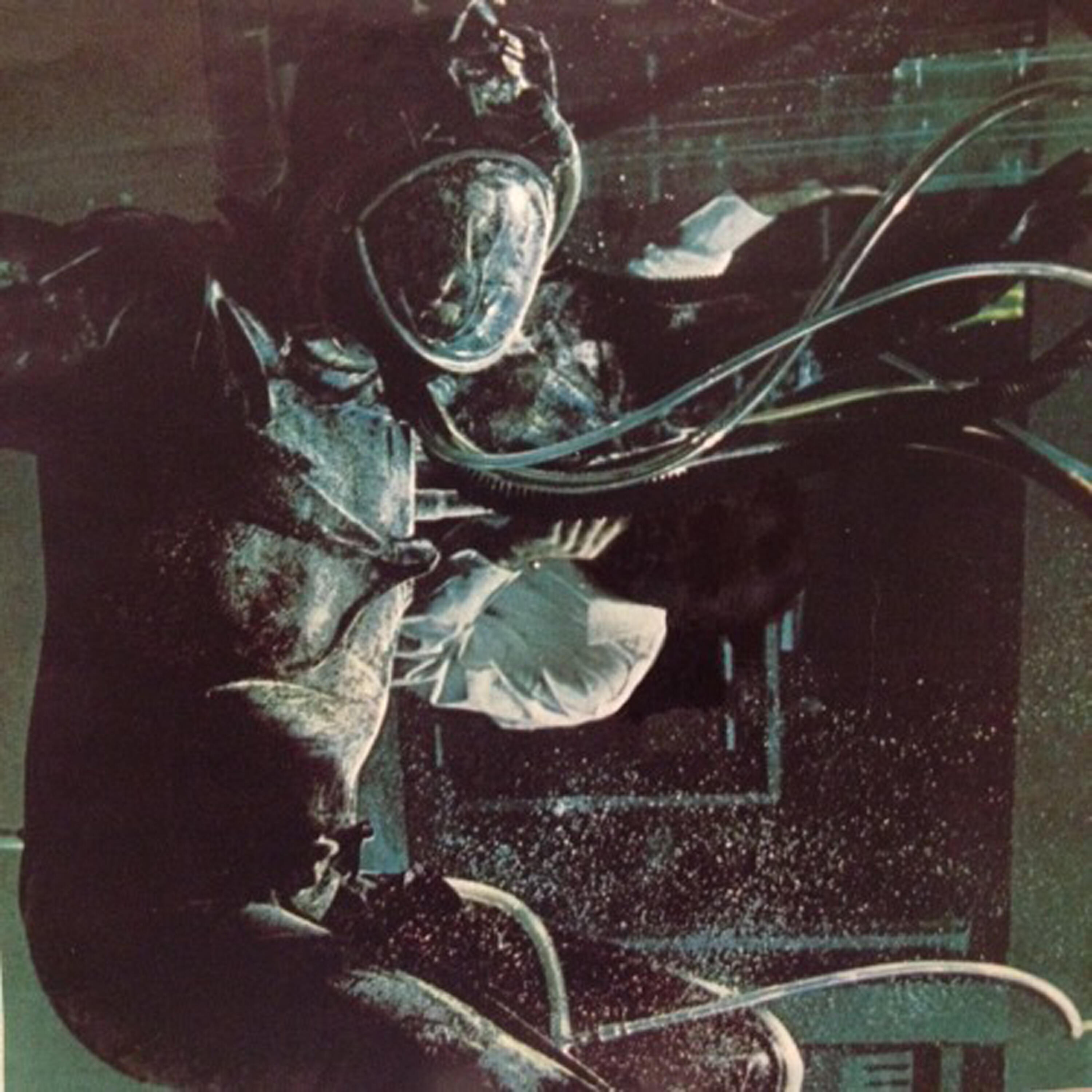 Chris Gunn - Telepathic Axe
