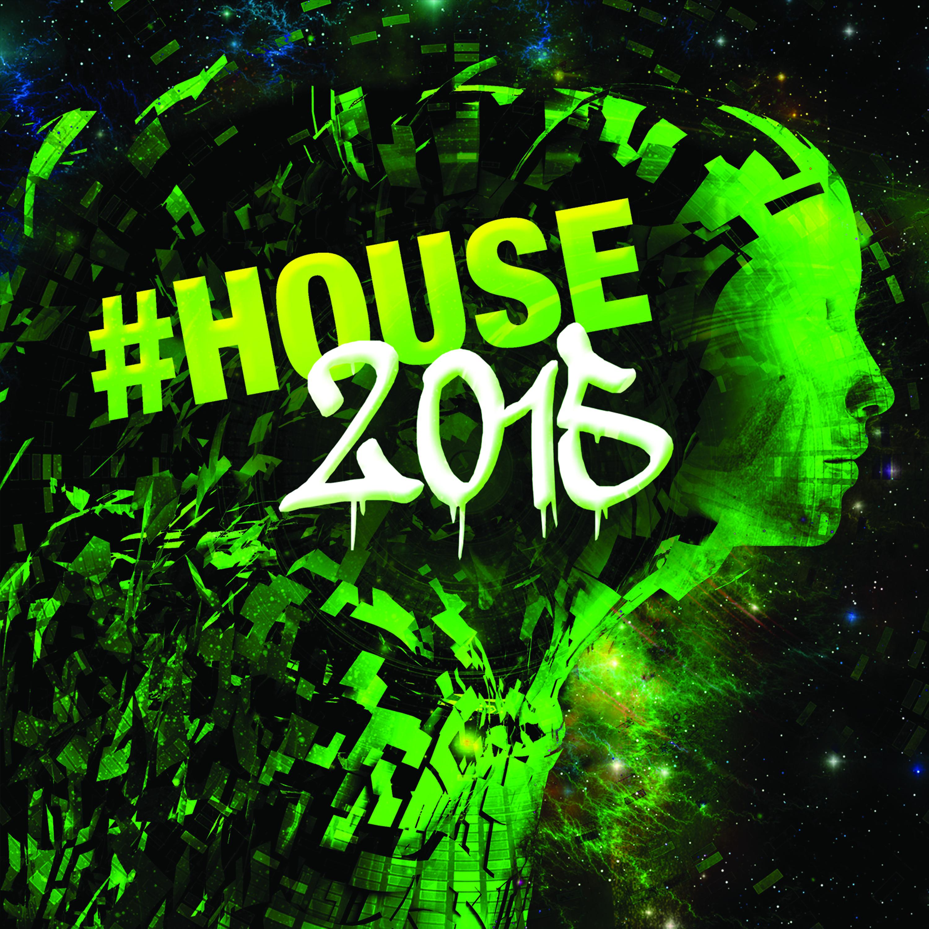 Постер альбома #house2015