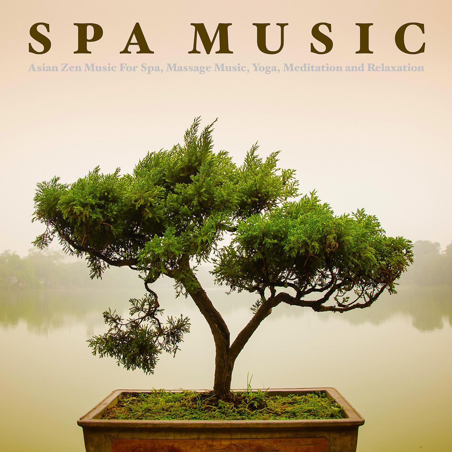 Постер альбома Spa Music: Asian Zen Music For Spa, Massage Music, Yoga, Meditation and Relaxation