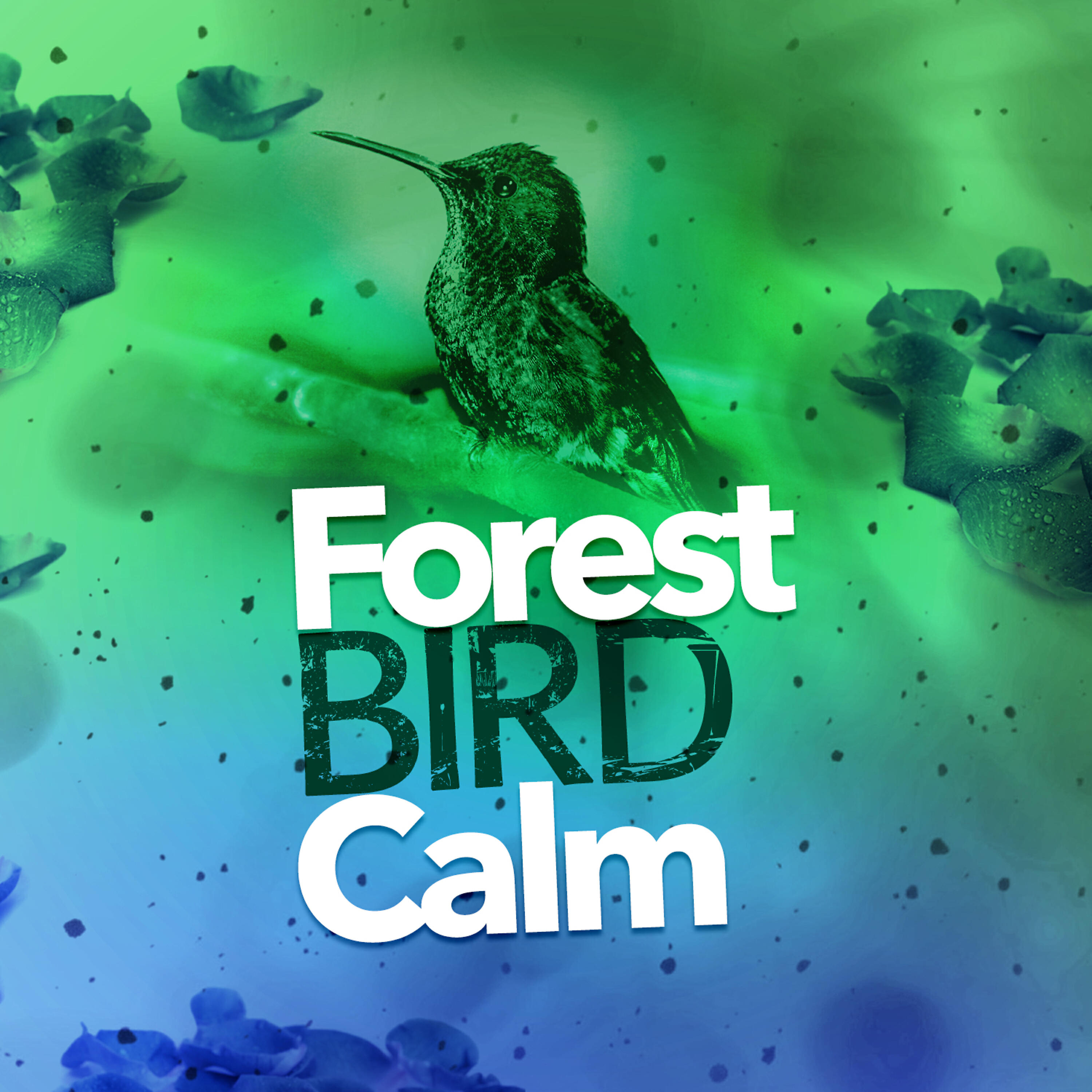 Forest Sounds Relaxing Spa Music Singing Birds - Brook Bird Song