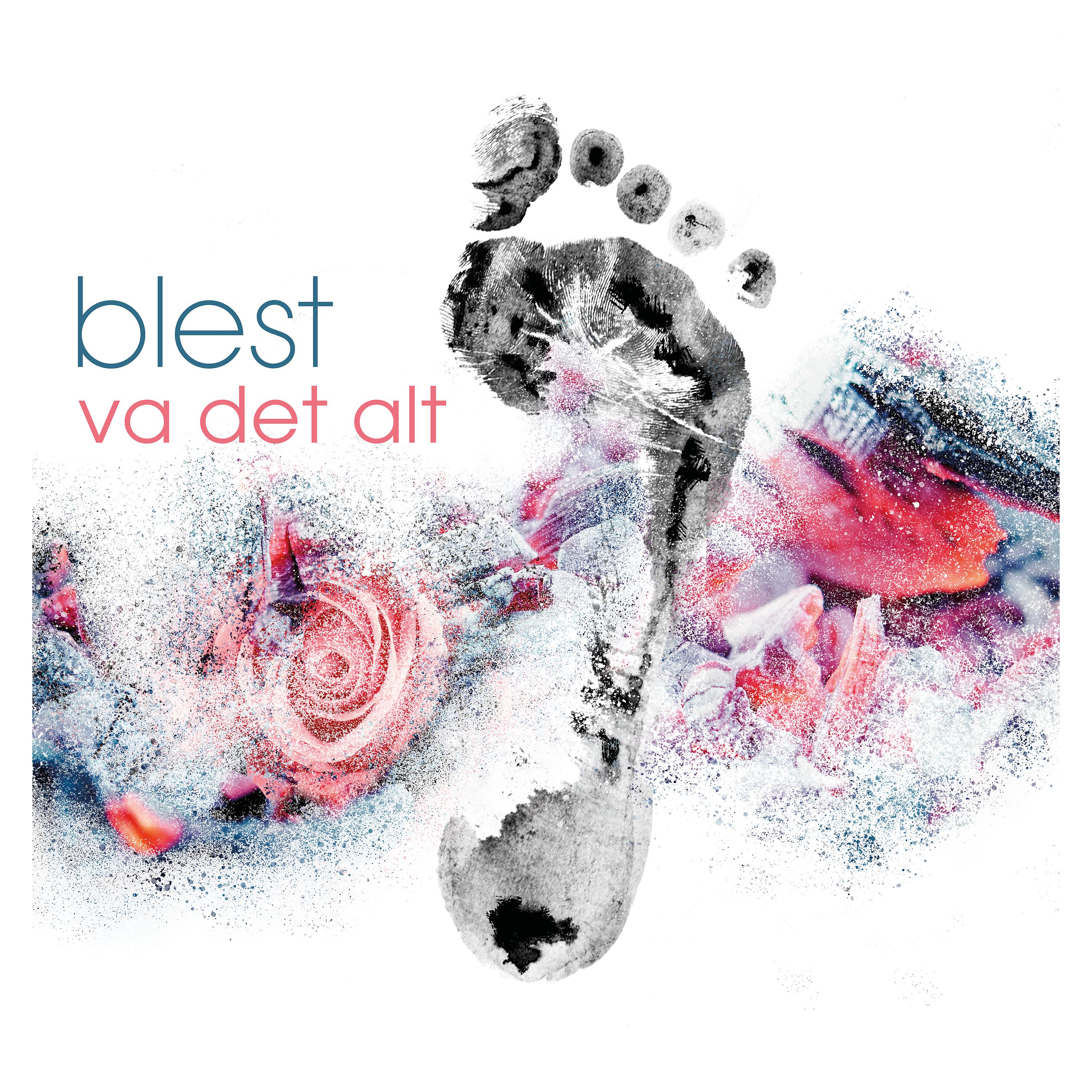 Постер альбома Va Det Alt