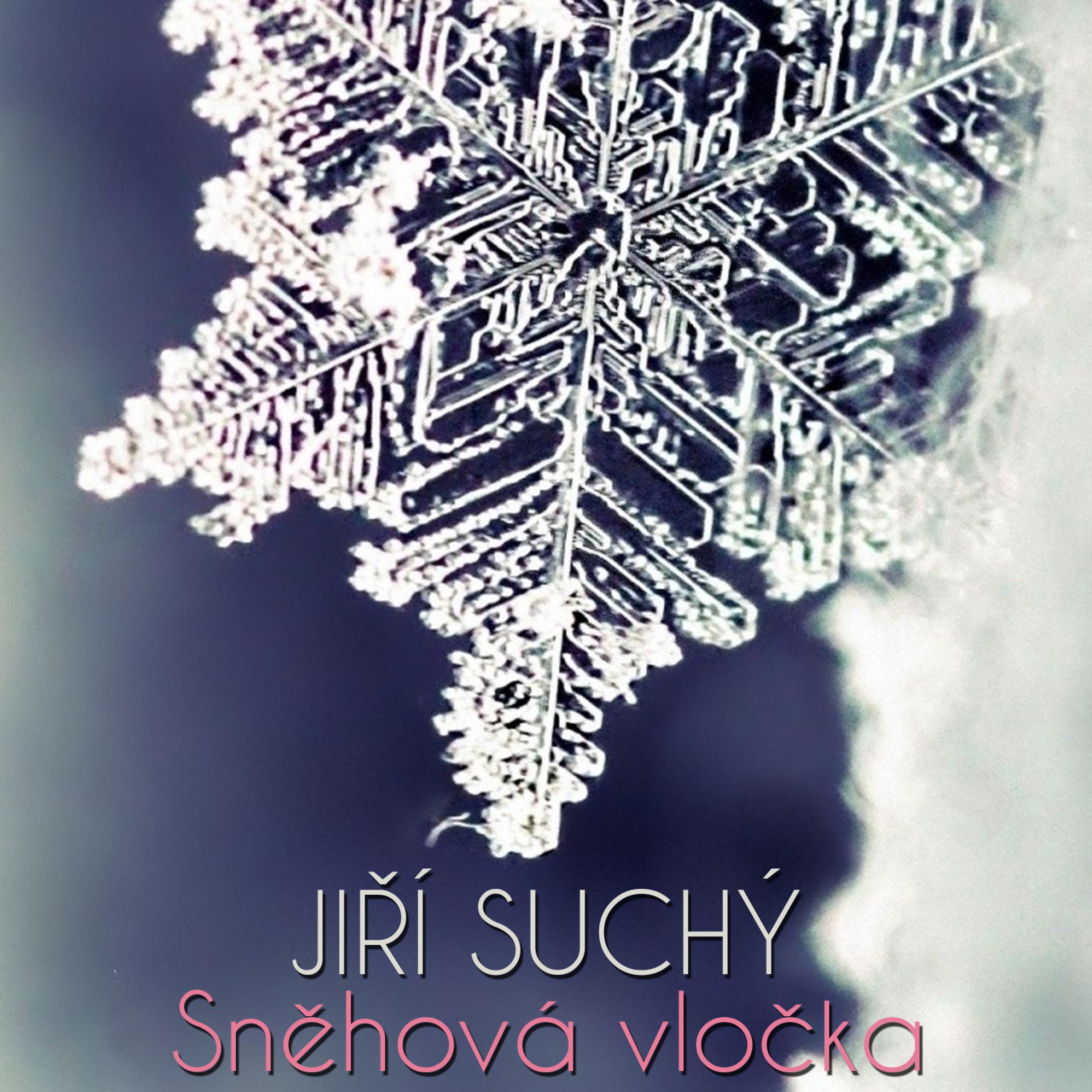 Постер альбома Sněhová vločka