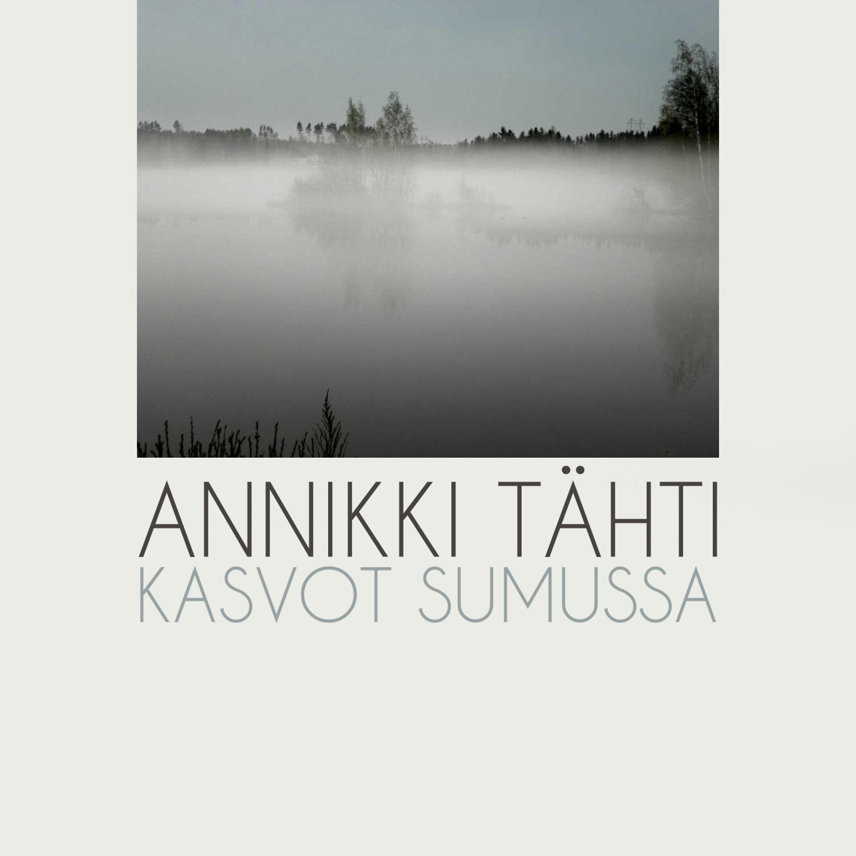 Постер альбома Kasvot Sumussa