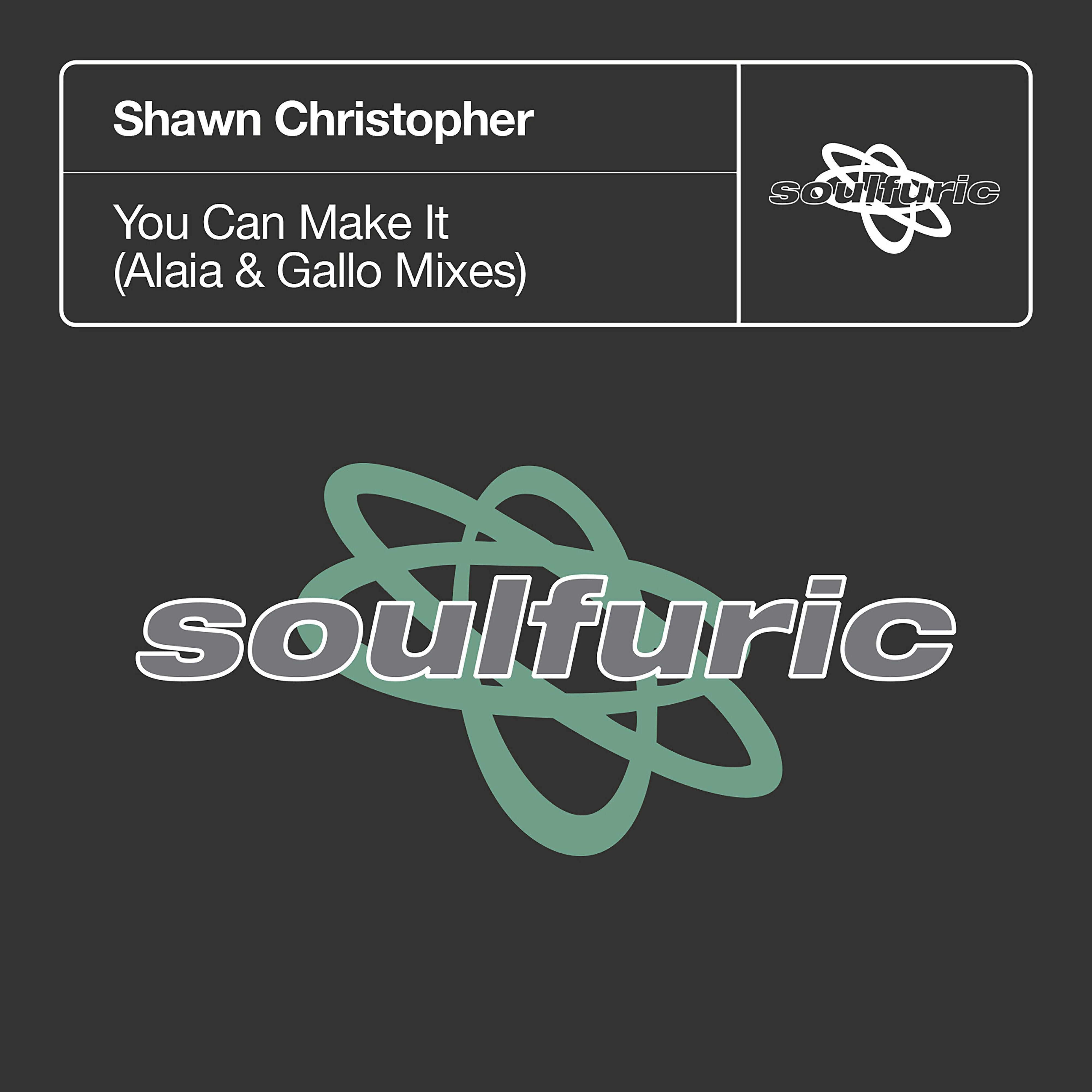 Shawn Christopher - You Can Make It (Alaia & Gallo Extended Preacher Dub)