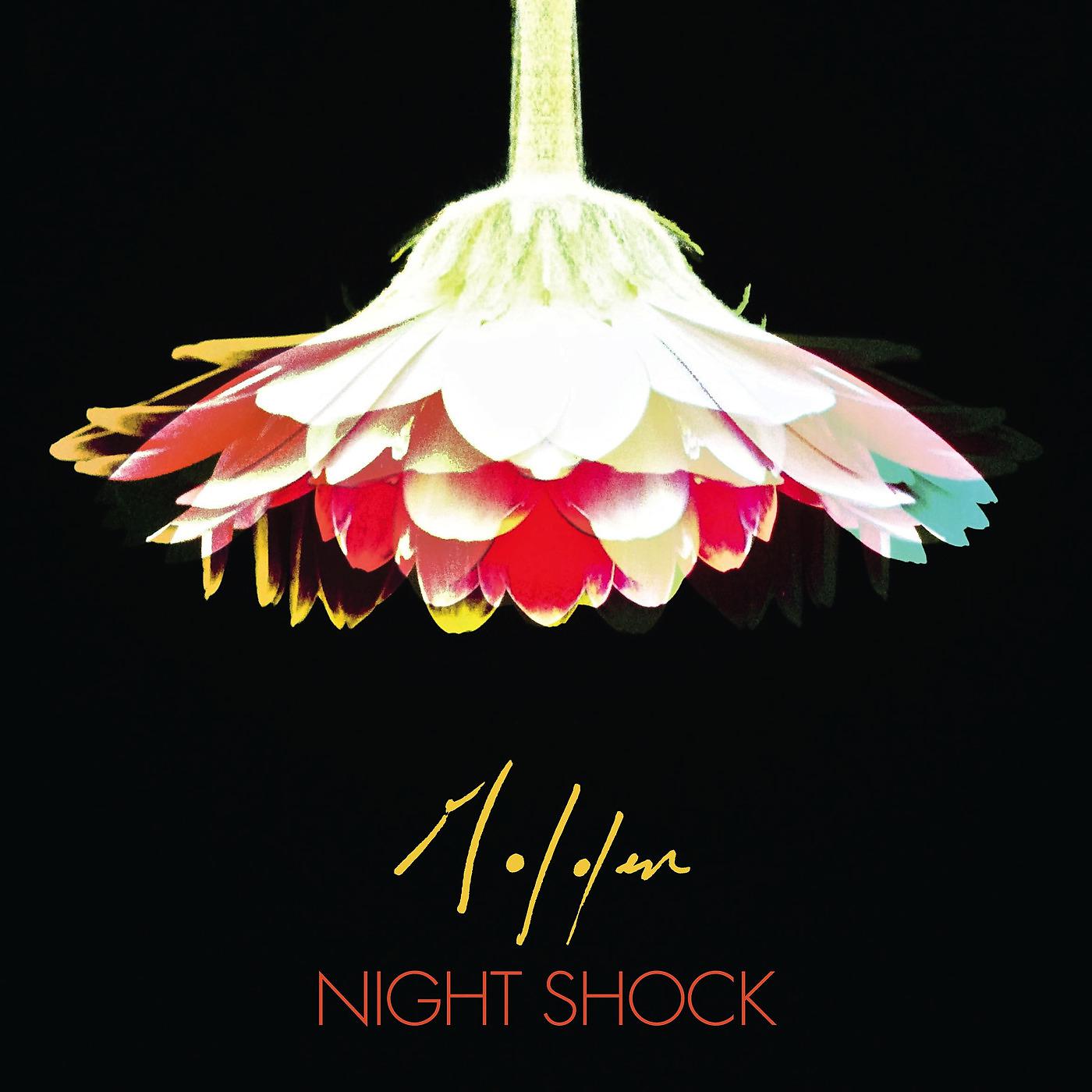 Постер альбома Night Shock