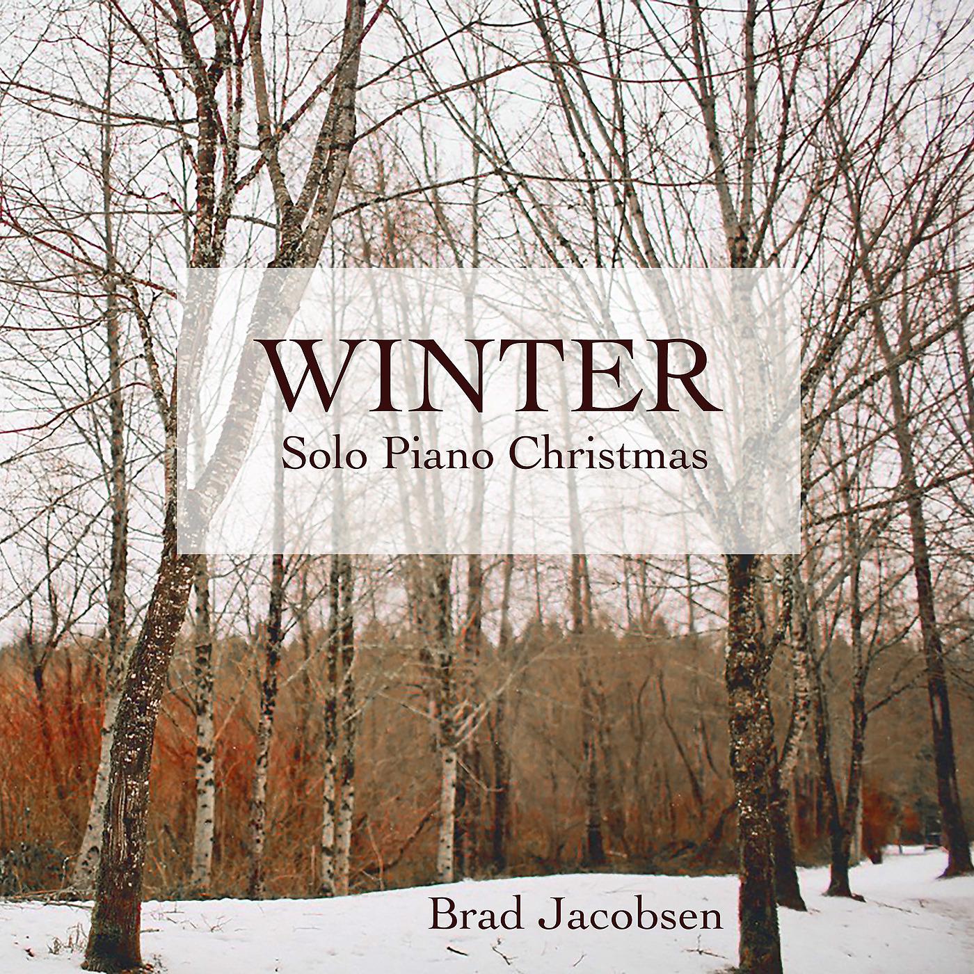 Постер альбома Winter - Solo Piano Christmas