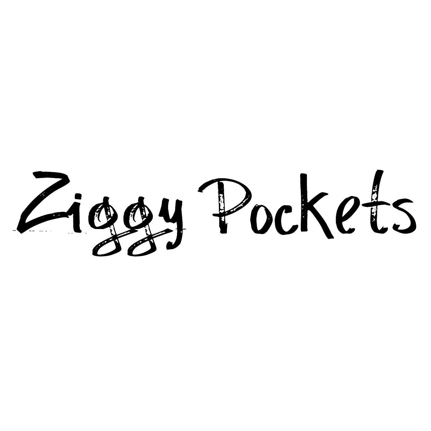 Ziggy Pockets - Panic Attack (feat. Sunny Ledfurd)