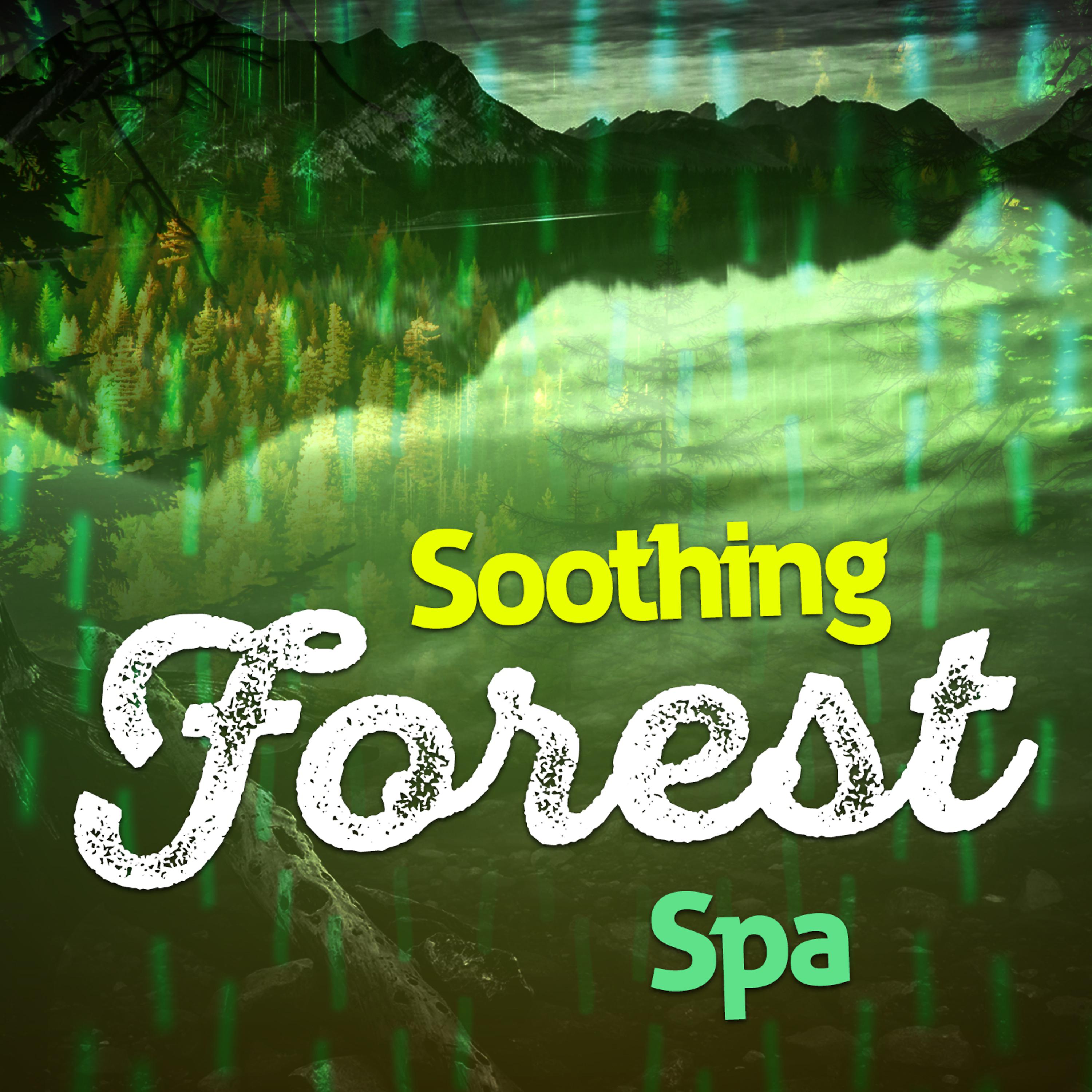 Постер альбома Soothing Forest Spa