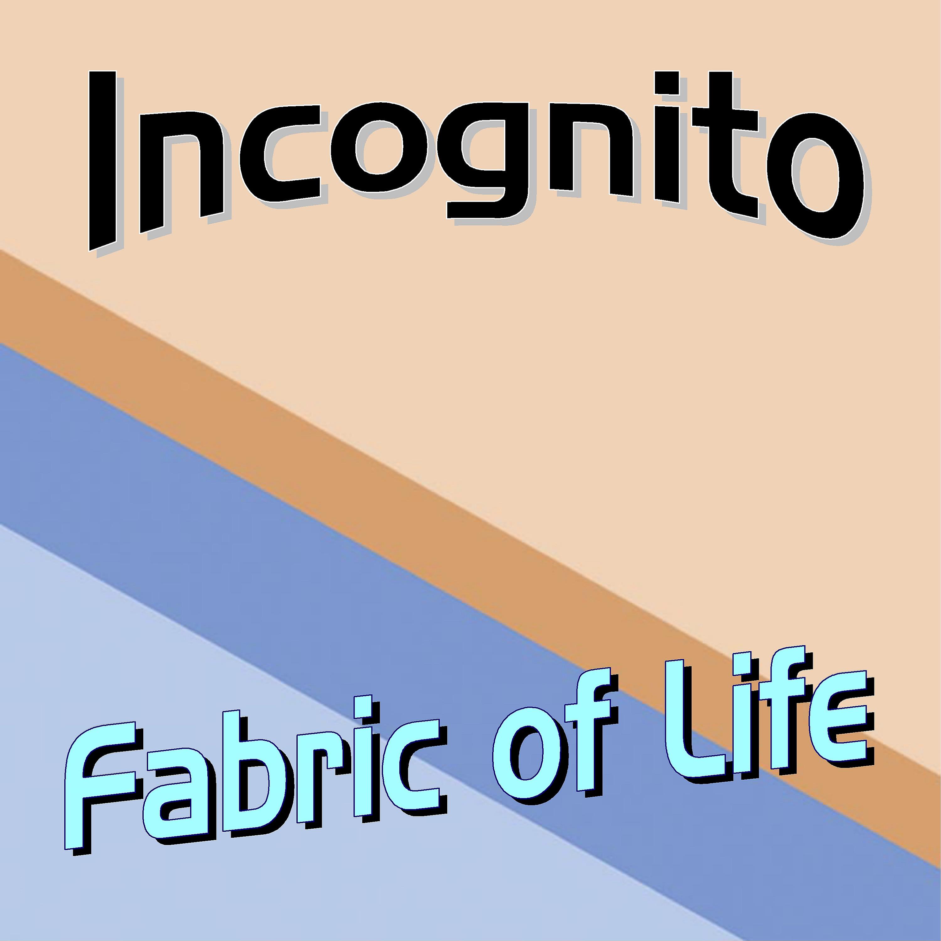 Постер альбома Fabric of Life