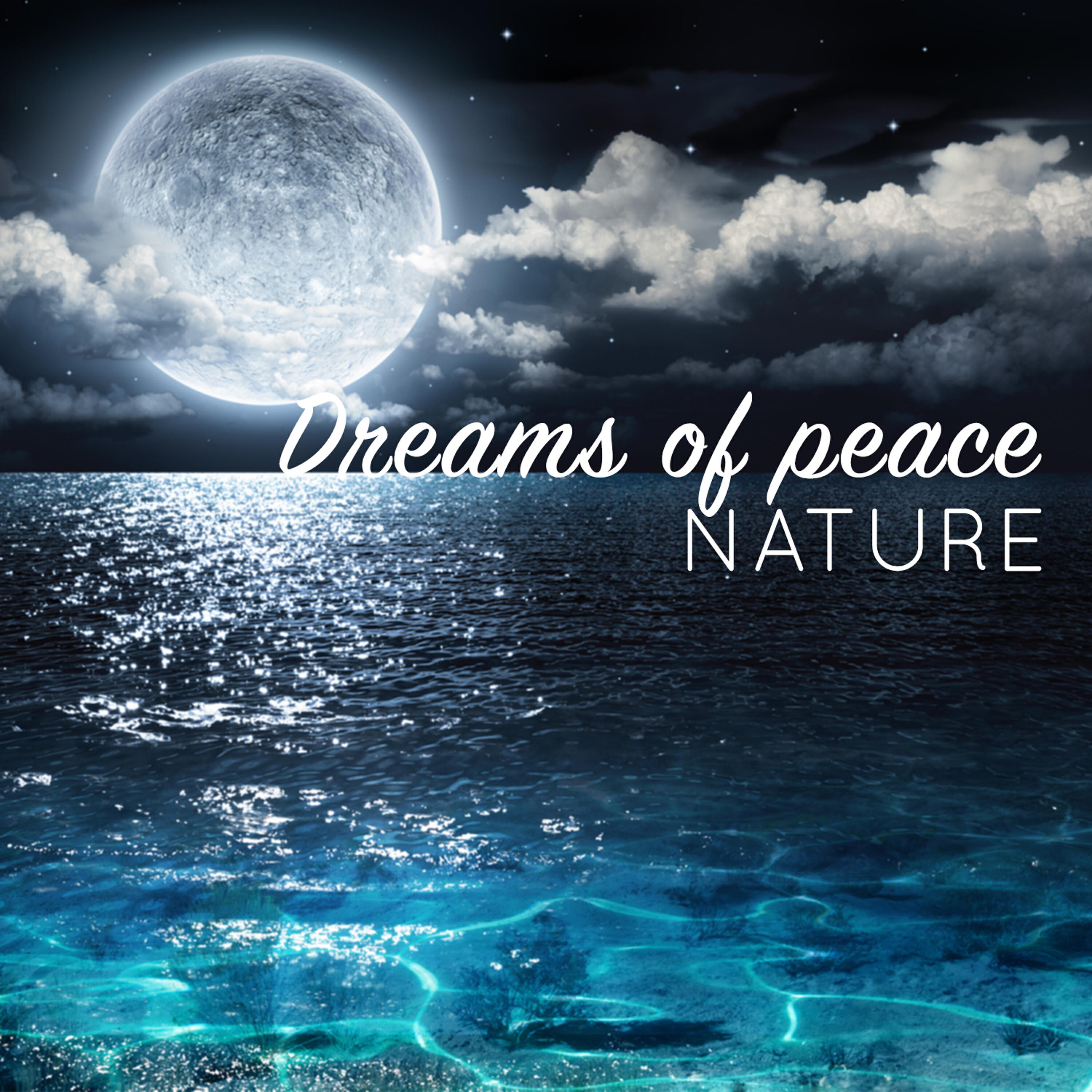 Dreams of Nature - Chatter Above