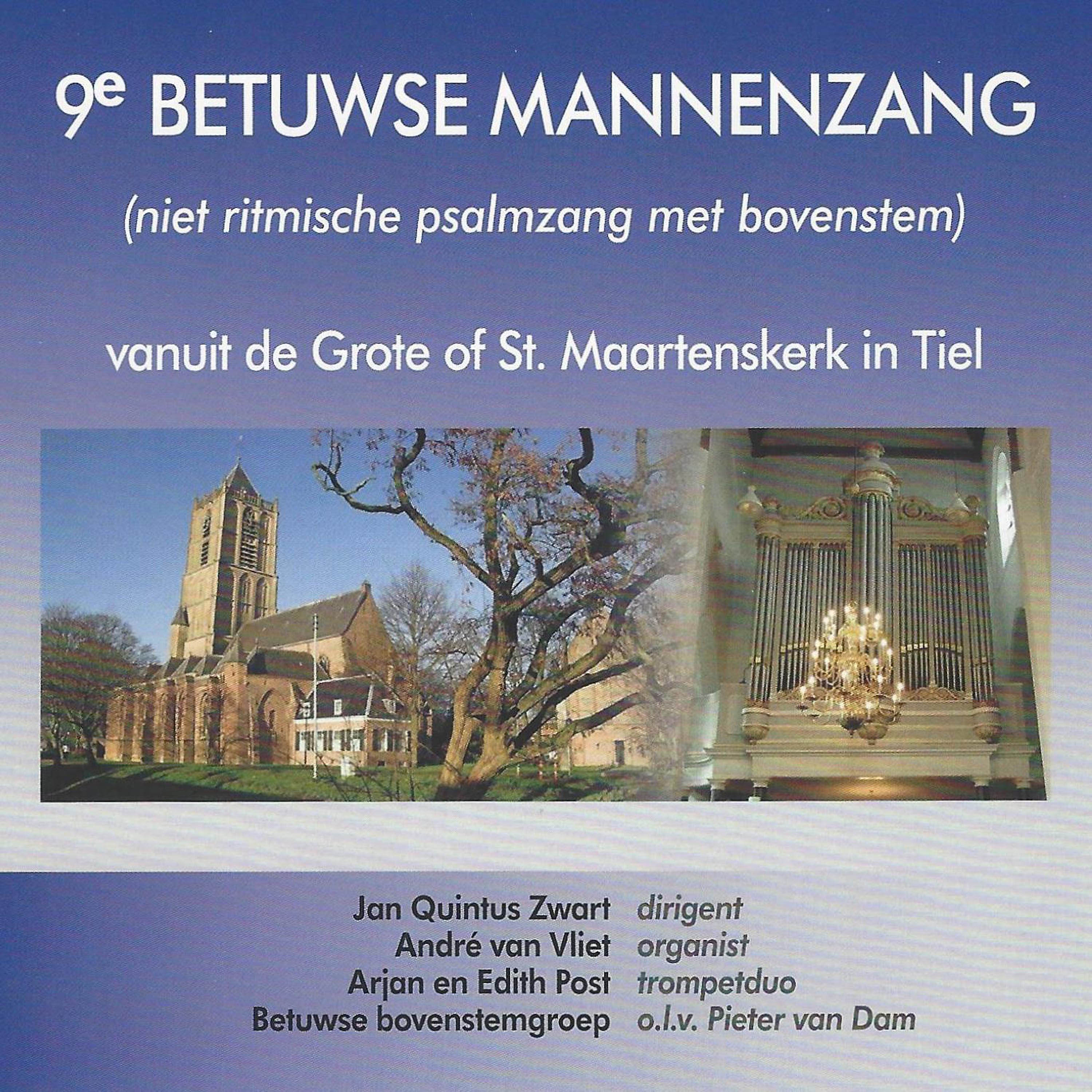 Постер альбома 9e Betuwse Mannenzang - Niet Ritmische Psalmen