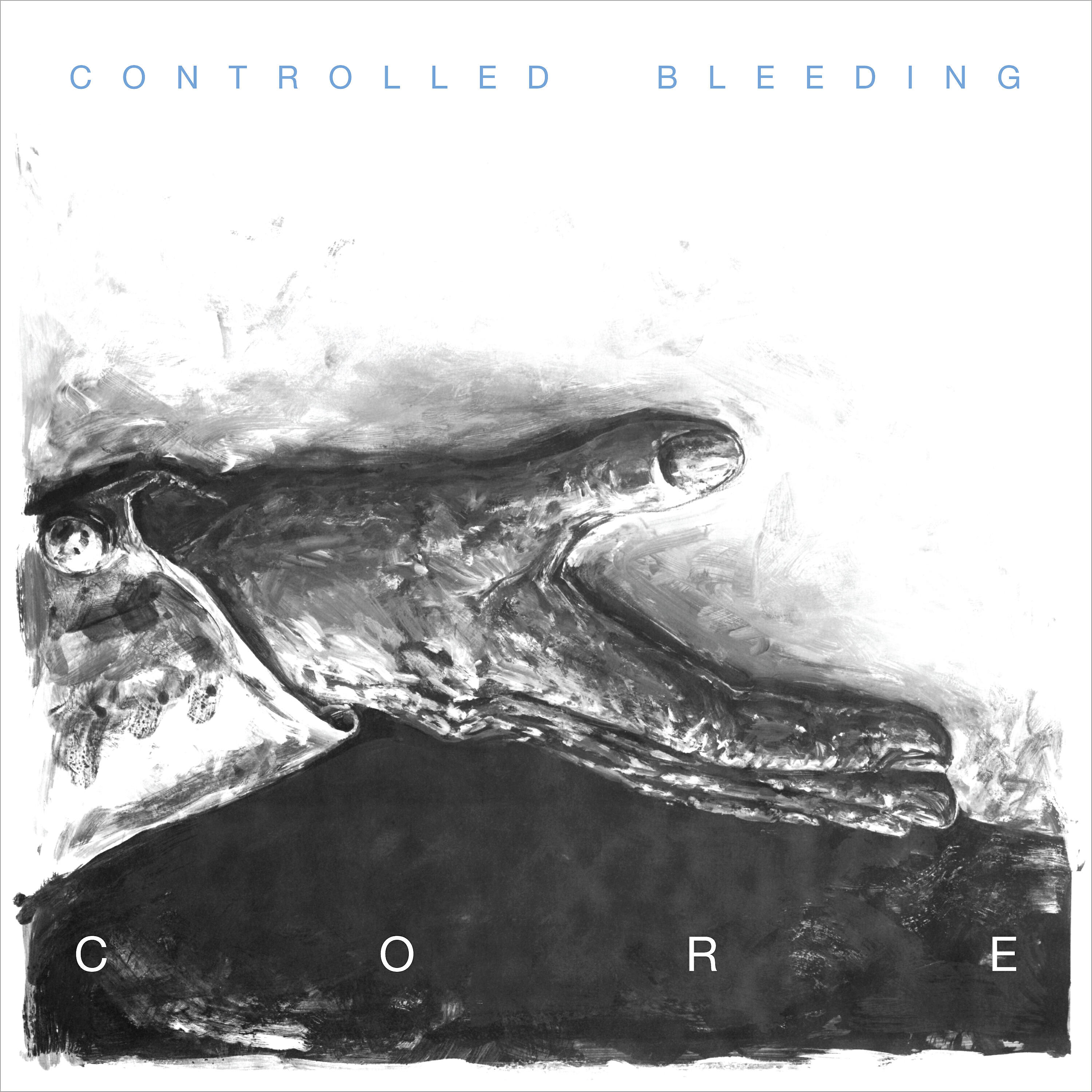 Controlled Bleeding - Head Sand