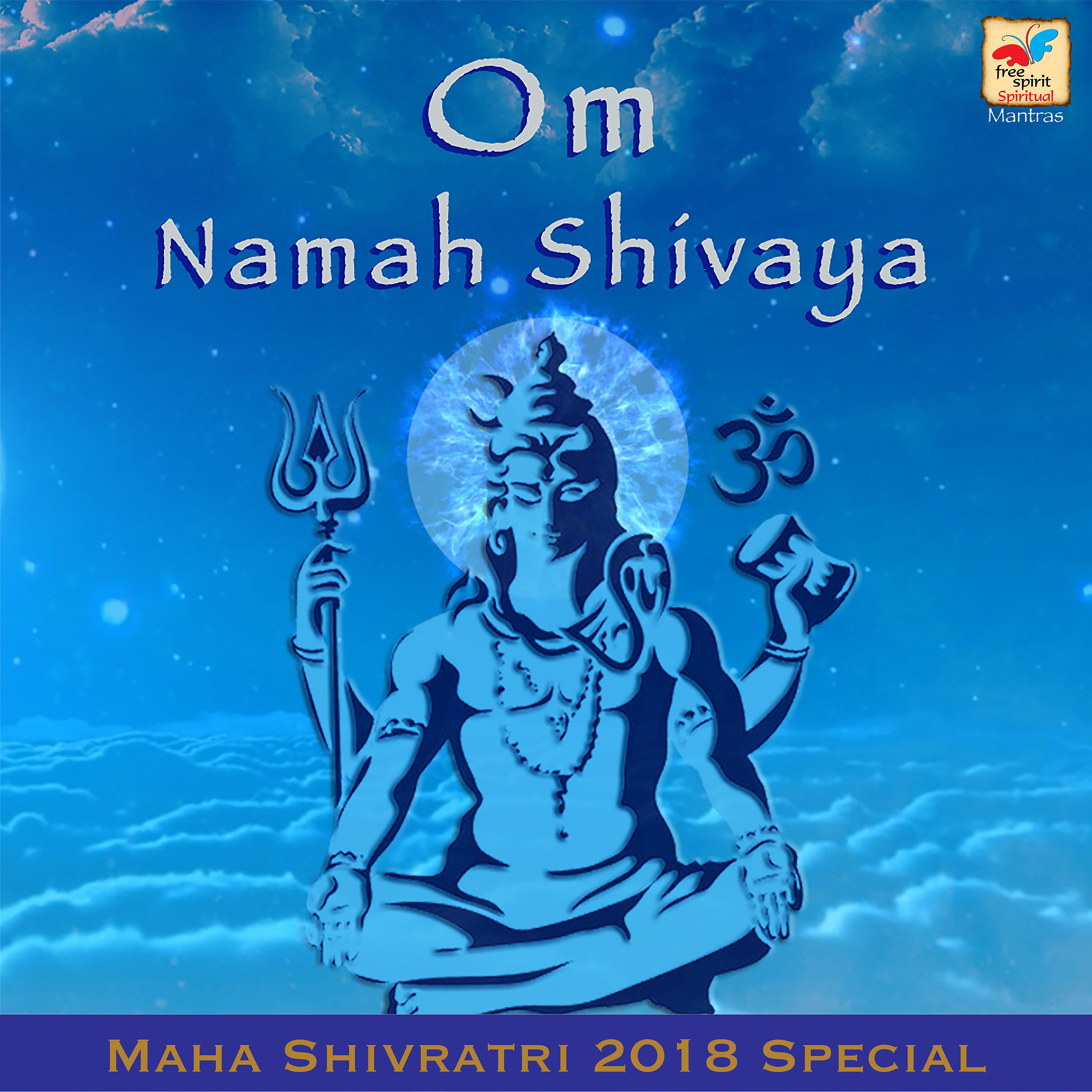 Постер альбома Om Namah Shivaya - Maha Shivratri 2018