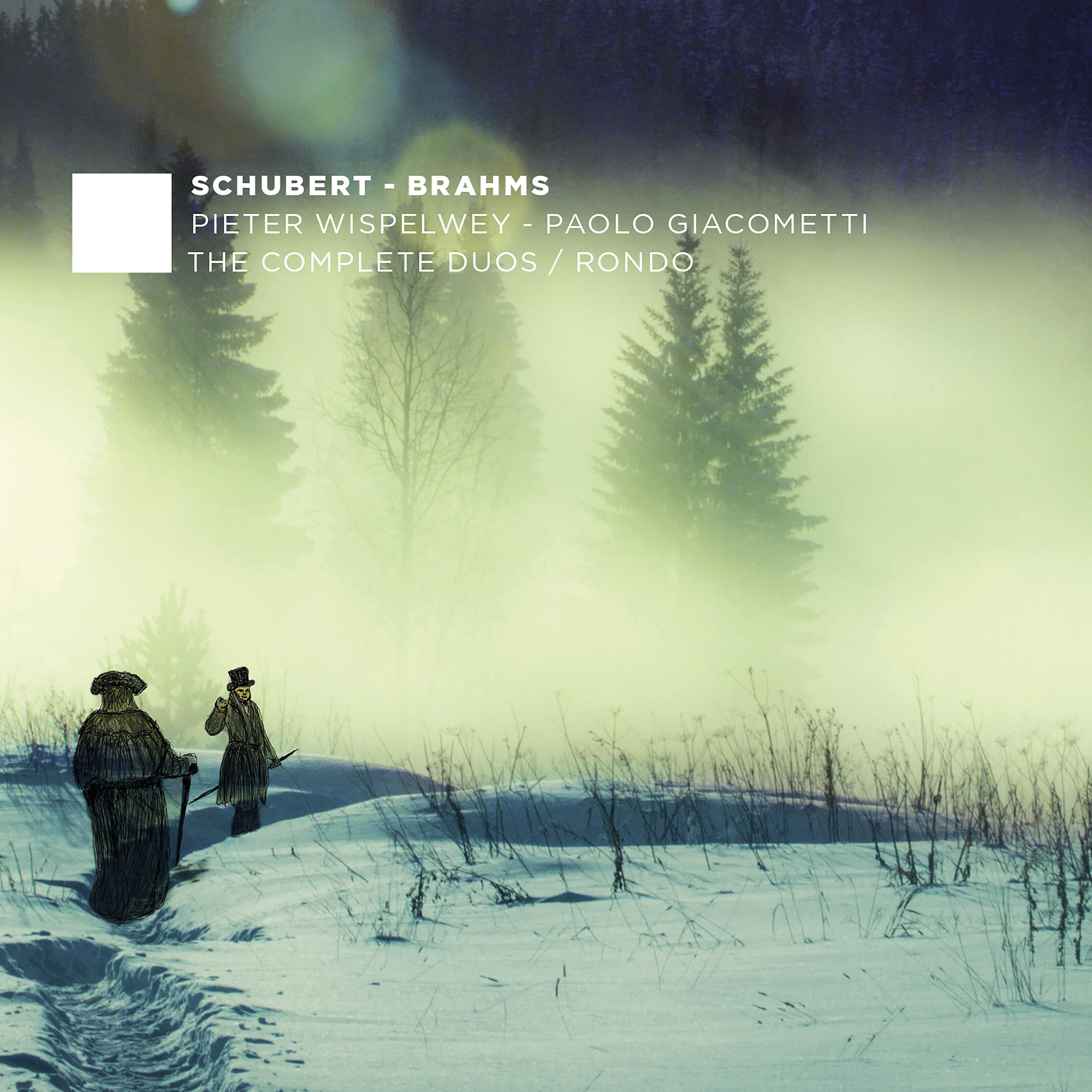 Постер альбома Schubert & Brahms: The Complete Duos - Rondo