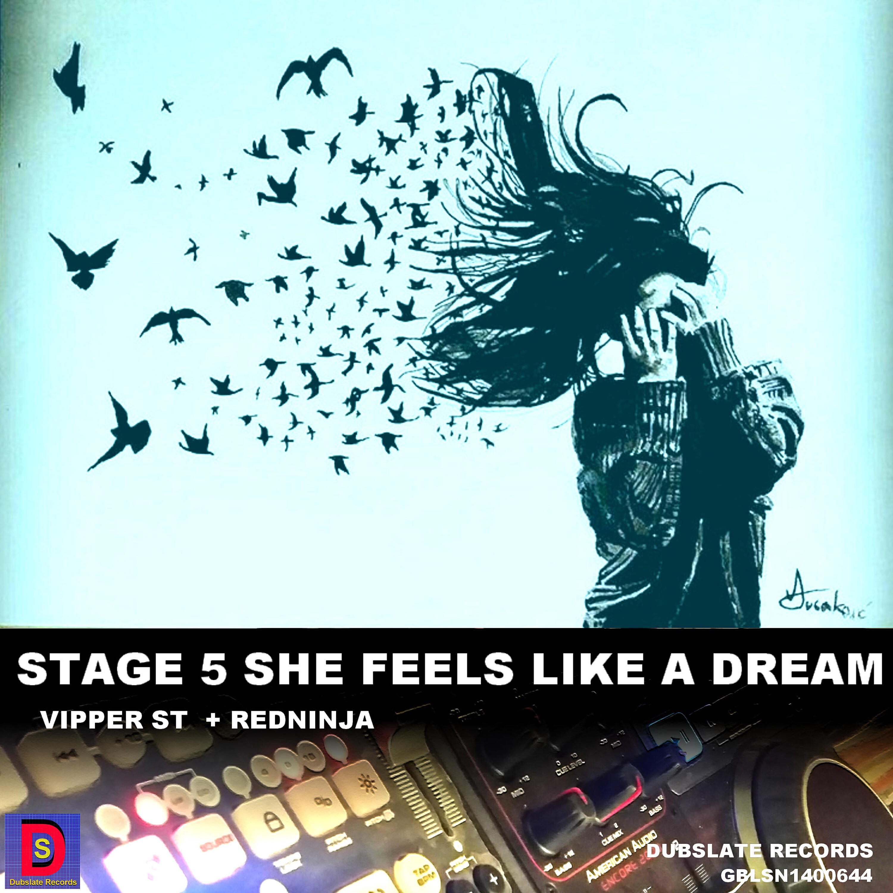 Dubslate records - Stage 5 She Feels Like a Dream