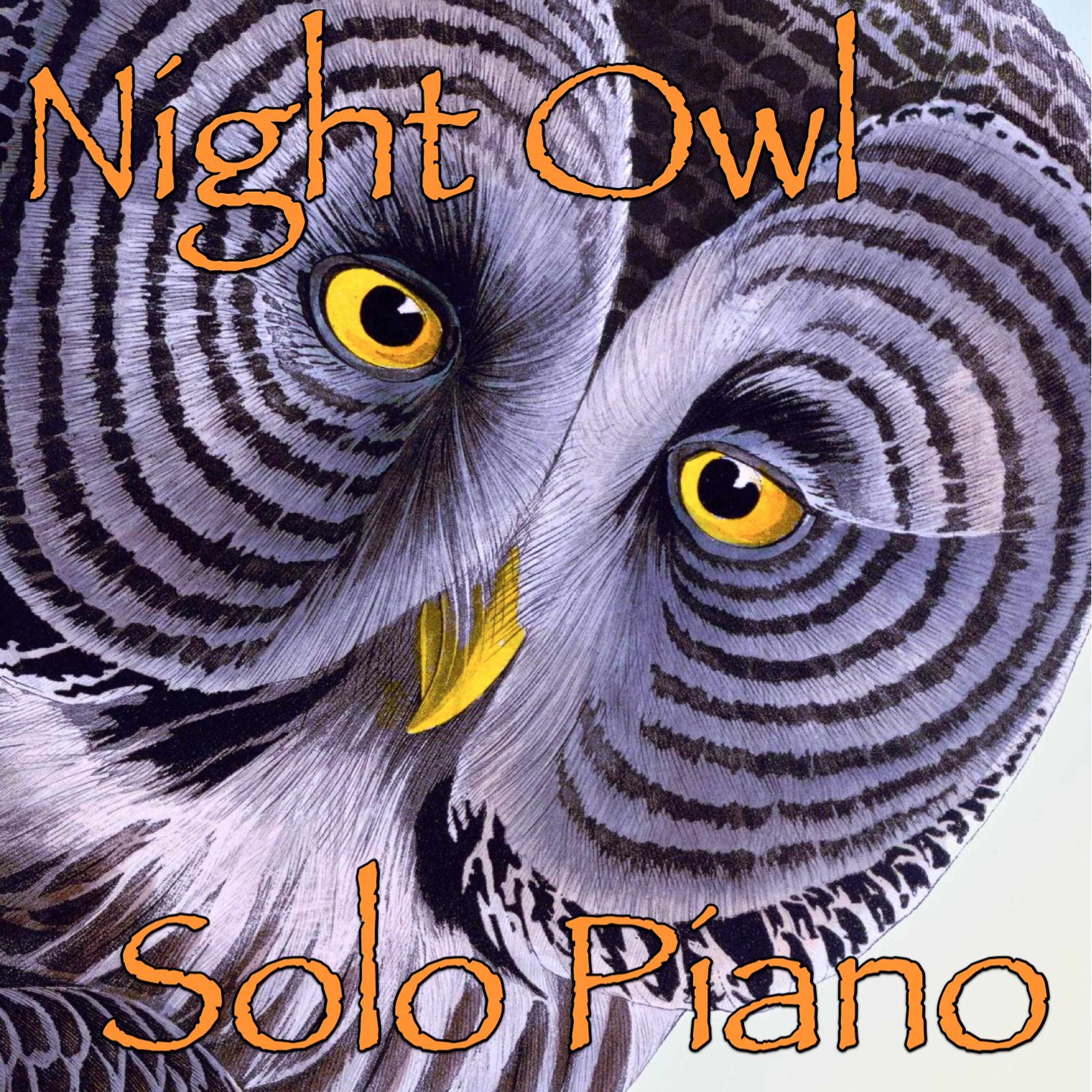 Постер альбома Night Owl, Nocturnes for Solo Piano