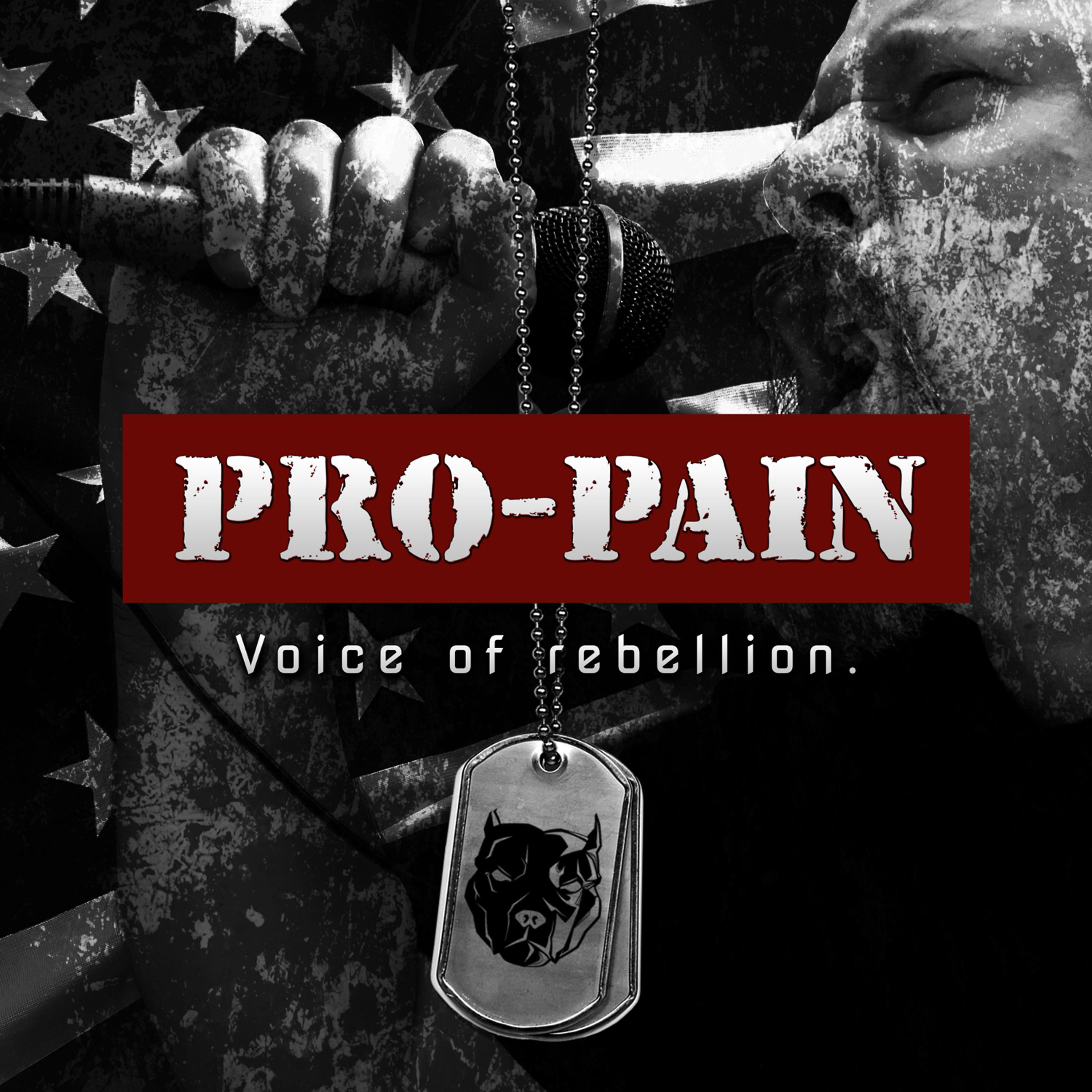 Постер альбома Voice of Rebellion