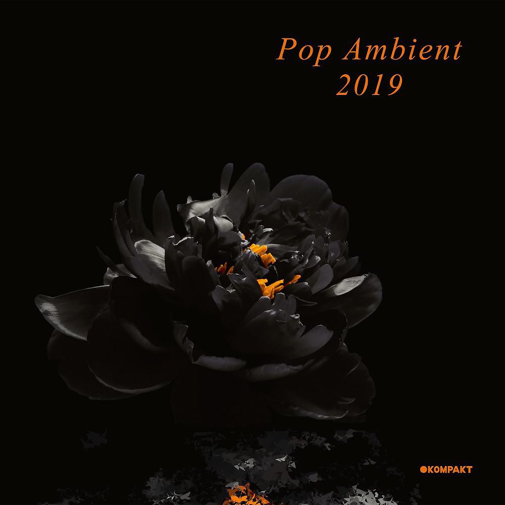 Постер альбома Pop Ambient 2019