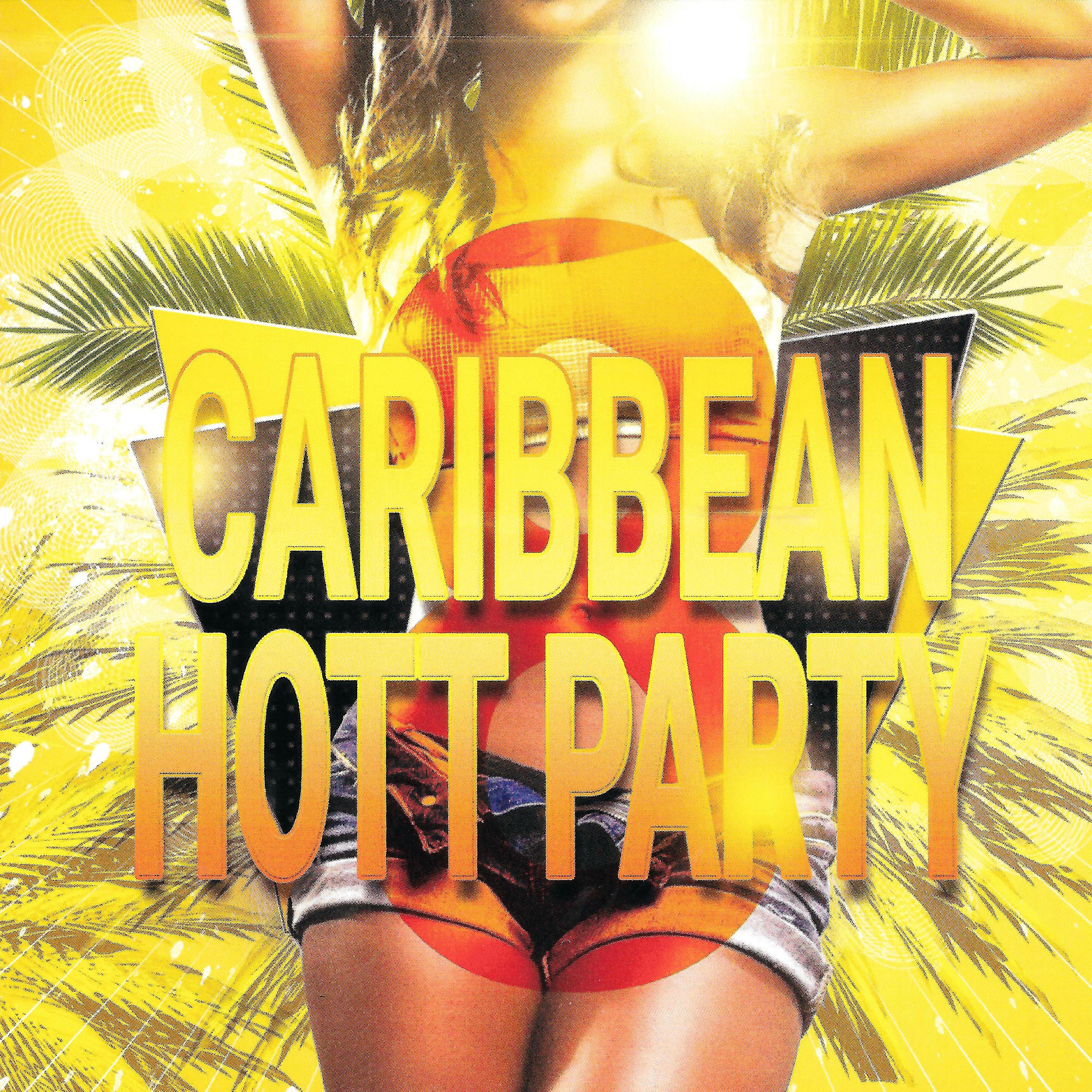 Постер альбома Caribbean Hott Party, Vol. 8