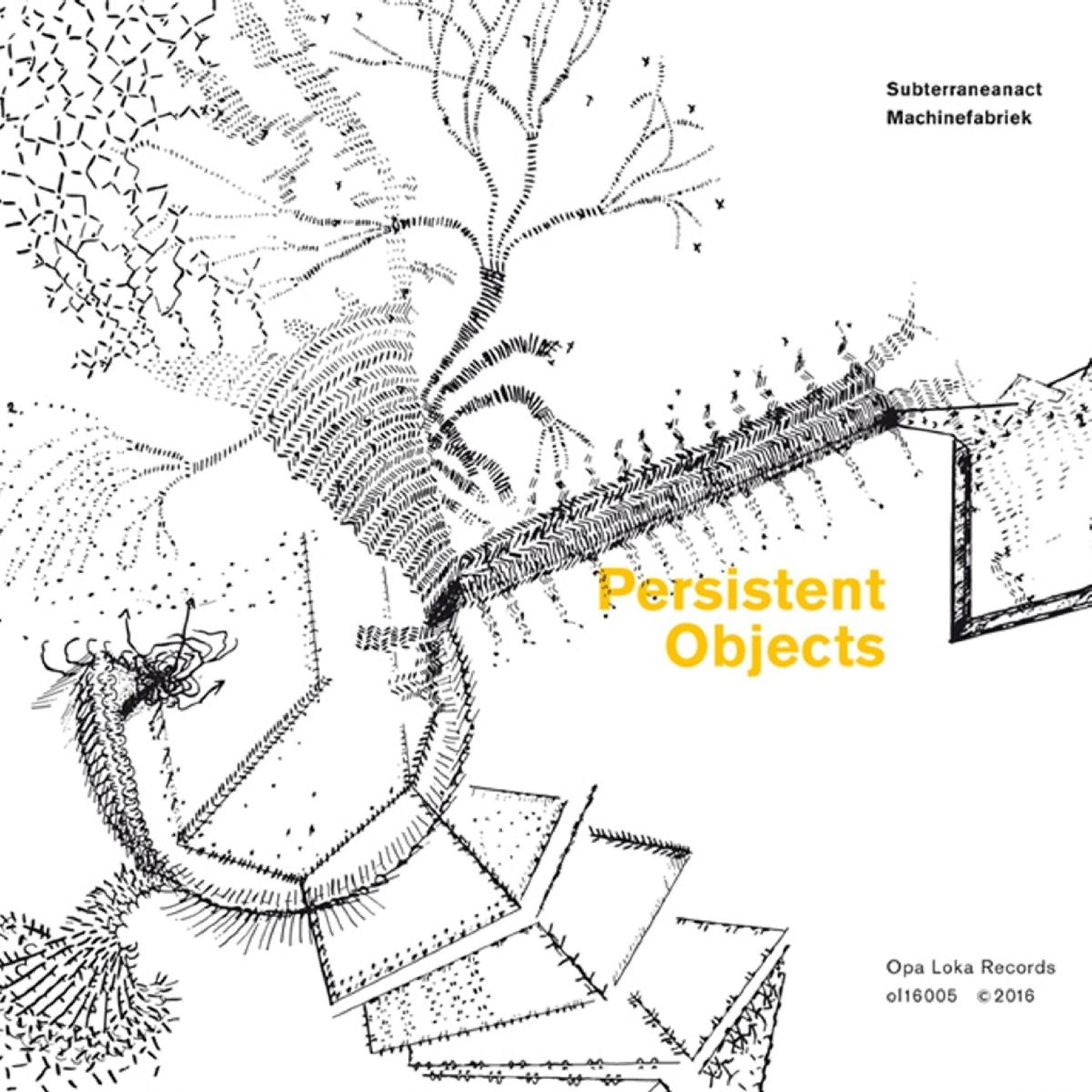 Постер альбома Persistent Objects