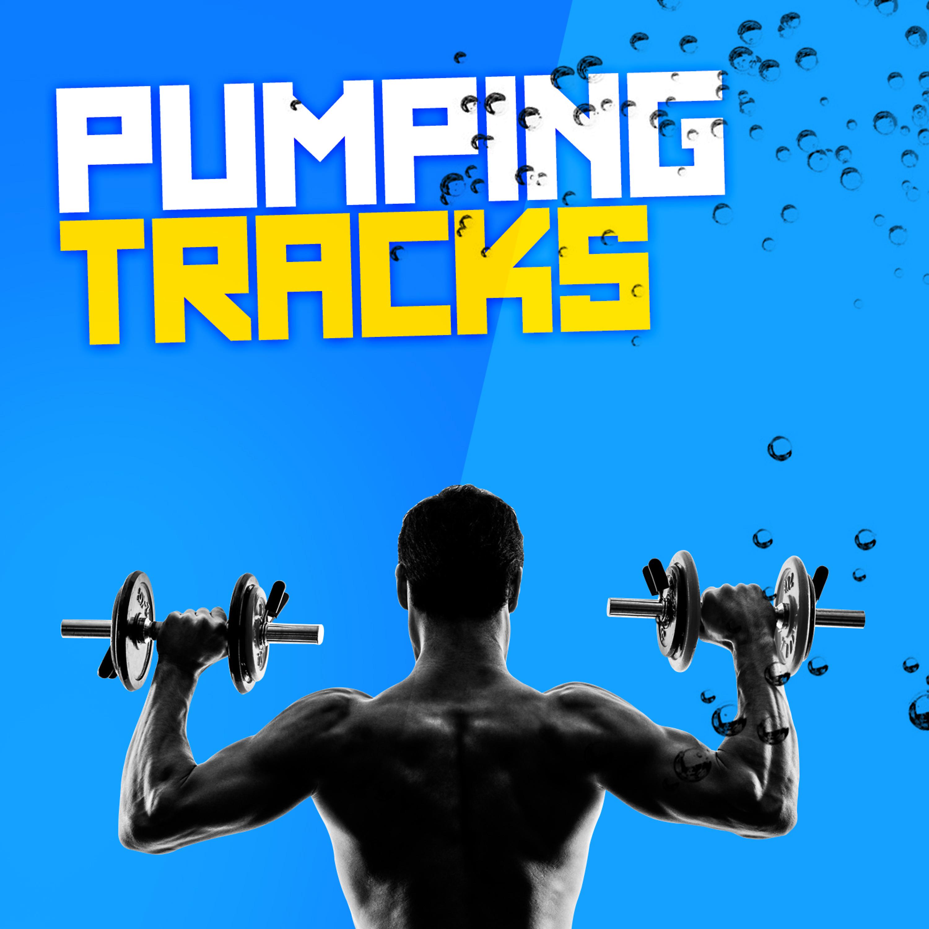 Постер альбома Pumping Tracks