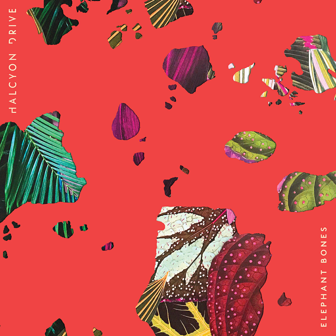 Halcyon Drive - Agnosia