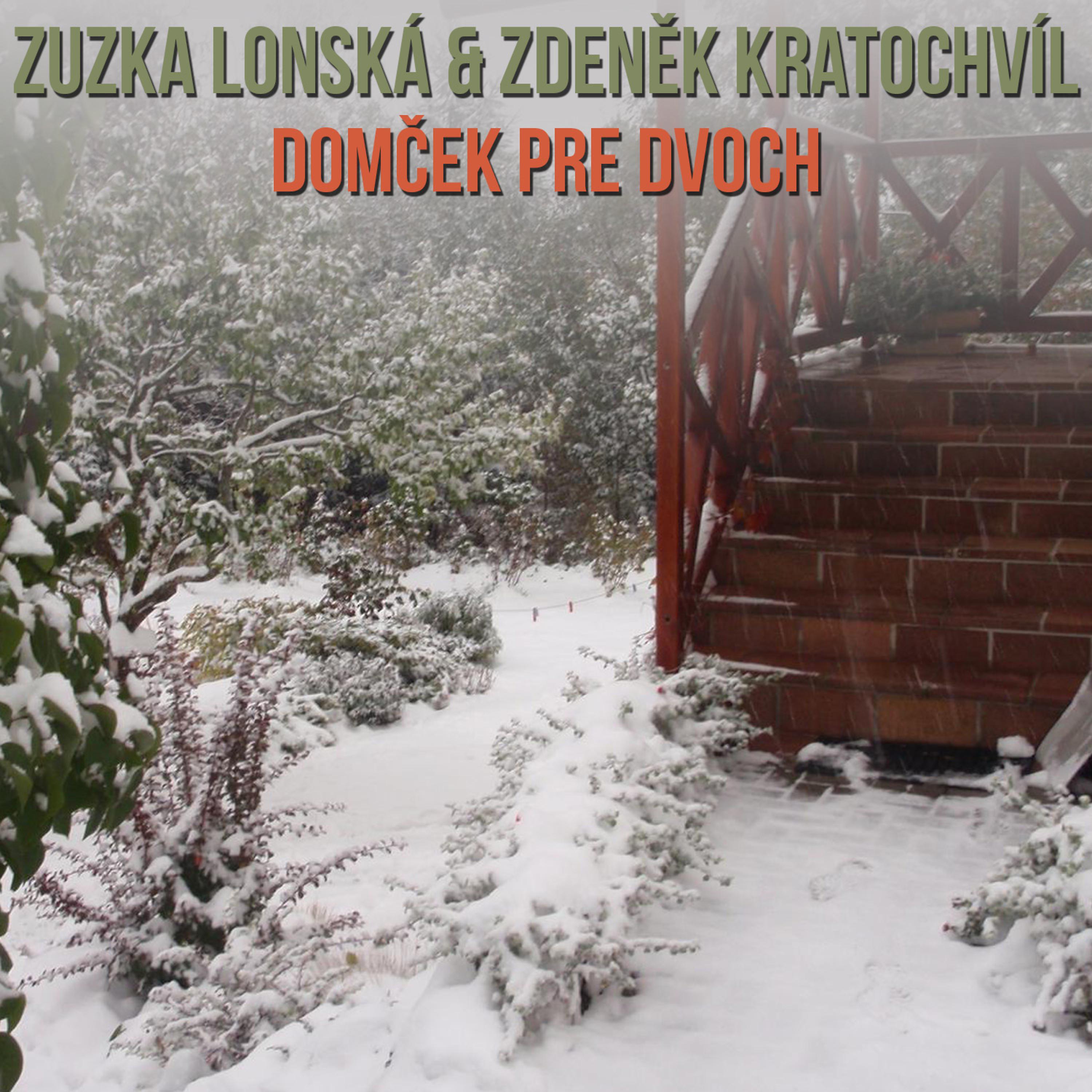 Постер альбома Domček pre dvoch