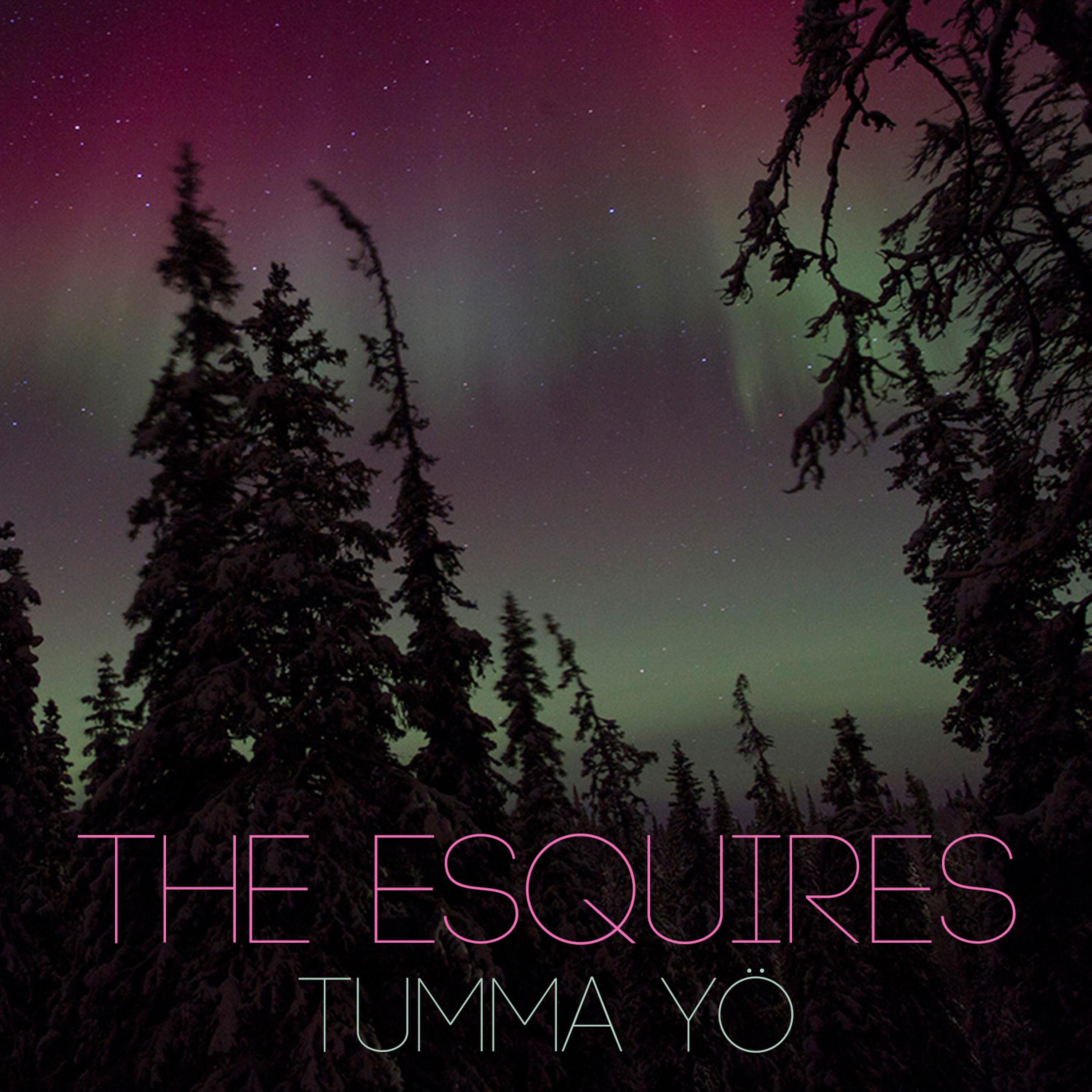 Постер альбома Tumma Yö