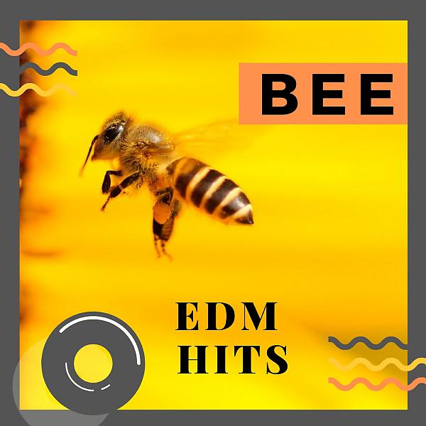 Постер альбома BEE EDM HITS