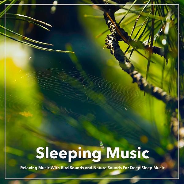 Постер альбома Sleeping Music: Relaxing Music With Bird Sounds and Nature Sounds For Deep Sleep