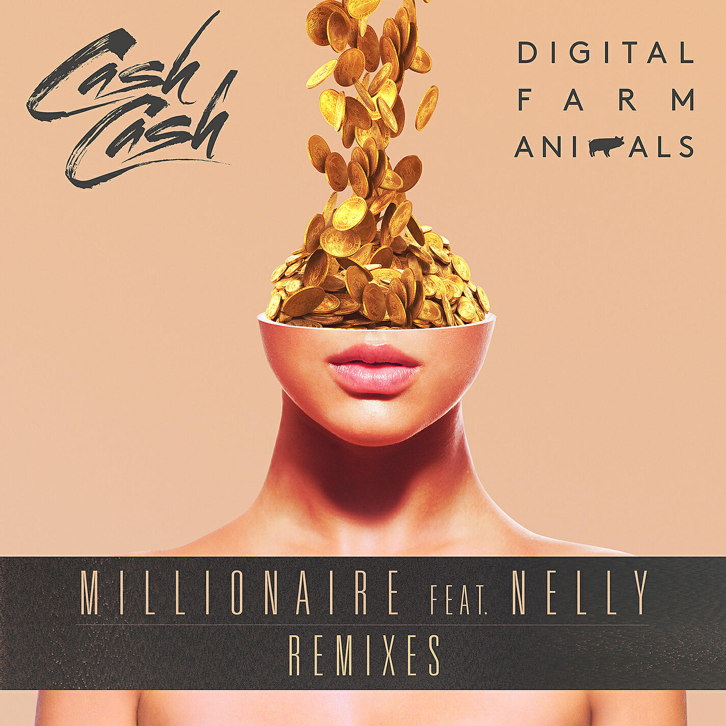 Cash Cash - Millionaire (feat. Nelly) [Cash Cash Remix]