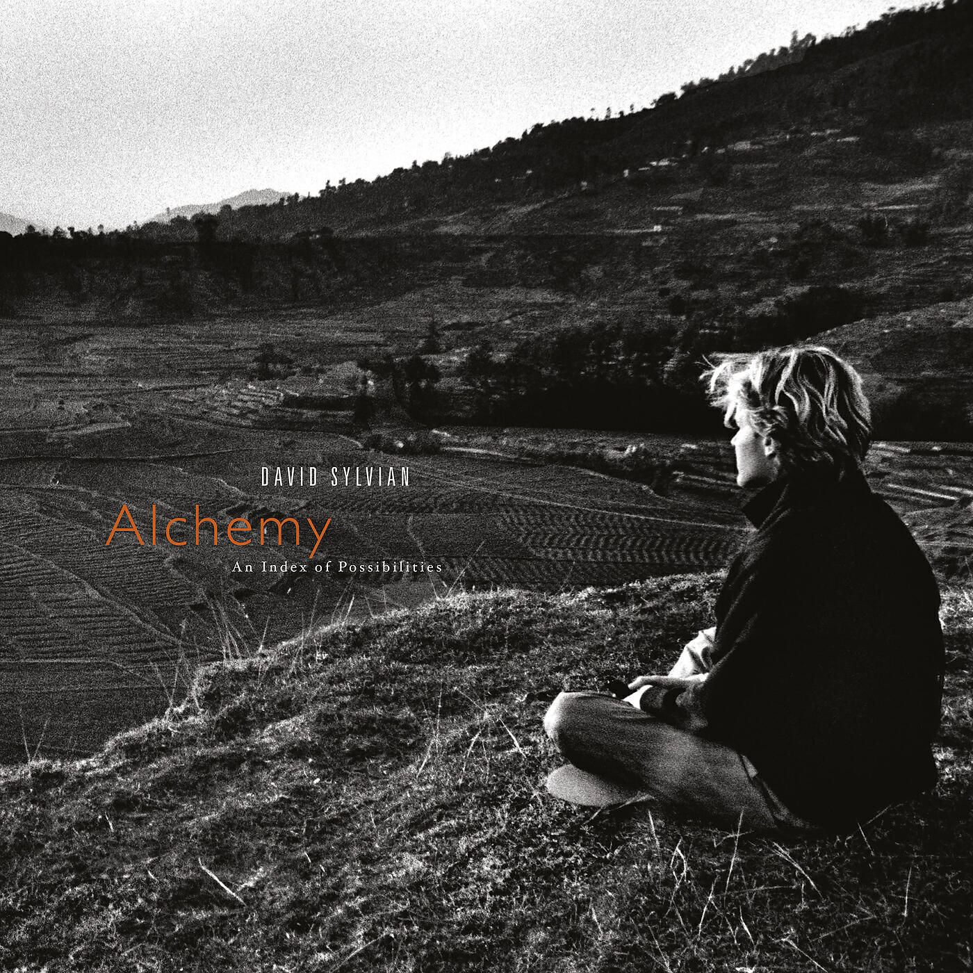 David Sylvian - A Brief Conversation Ending In Divorce